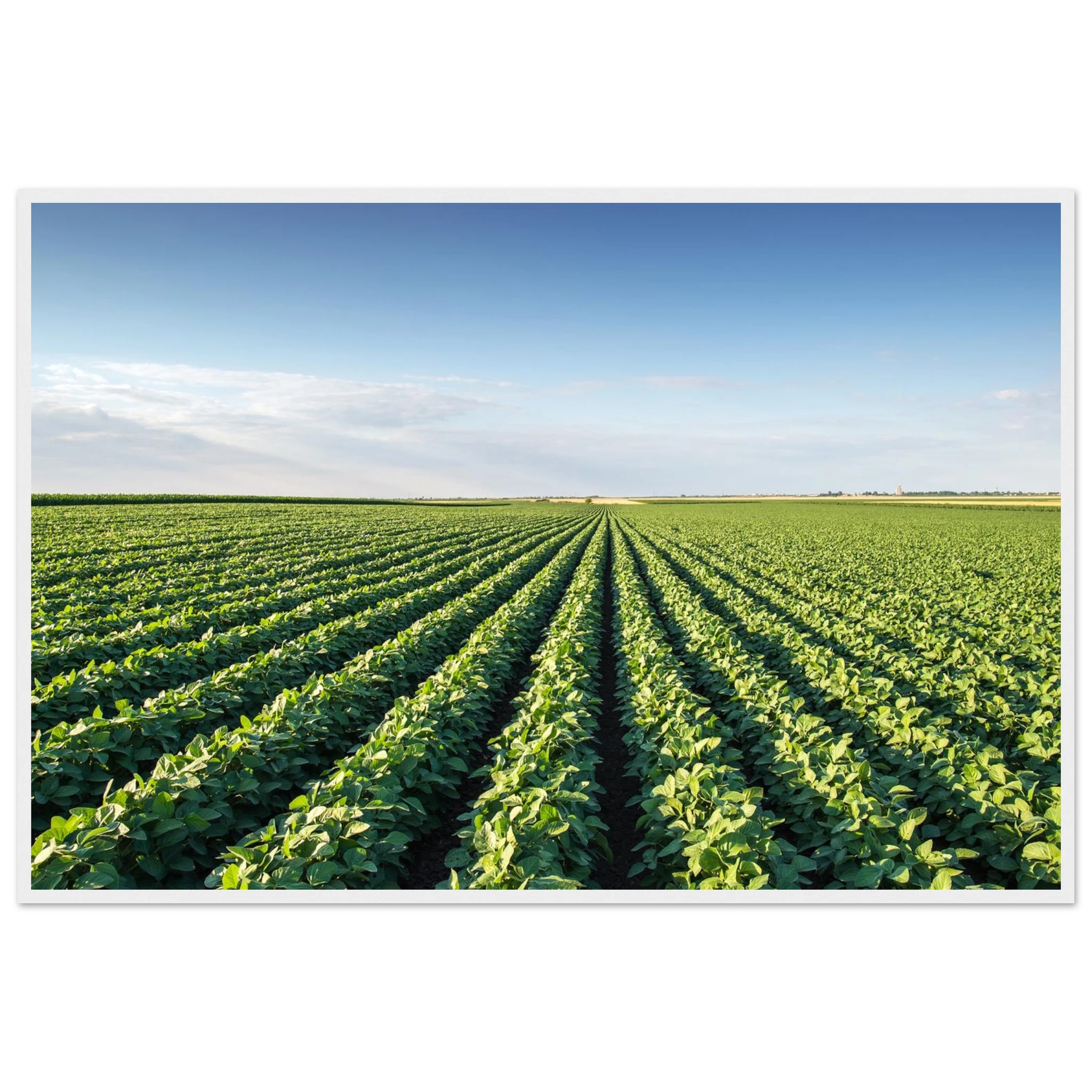 8f32a843-fbee-4eef-8ecb-4f74ae051bb2