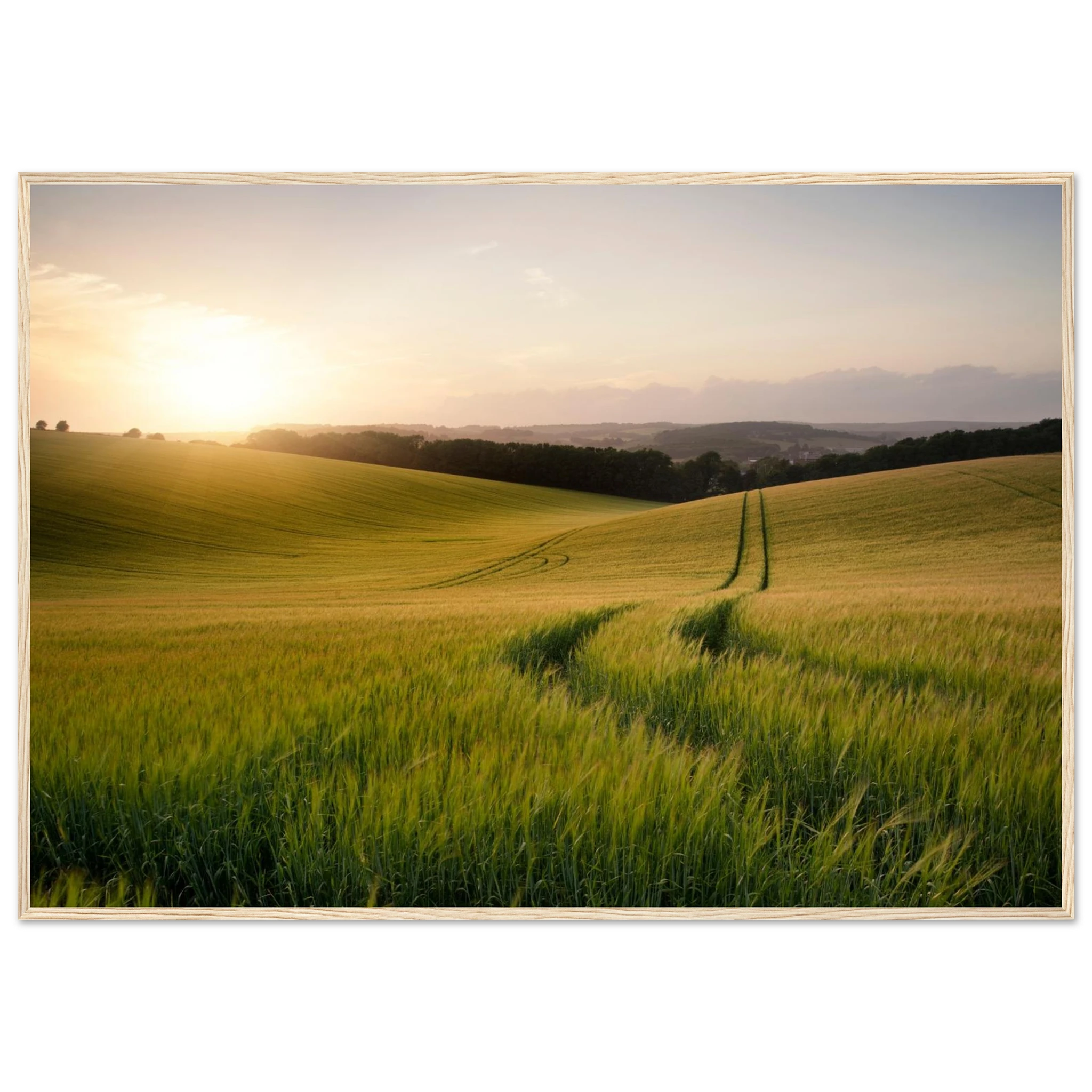 8f3e40a6-3aef-4ad1-a46c-c1701f787021