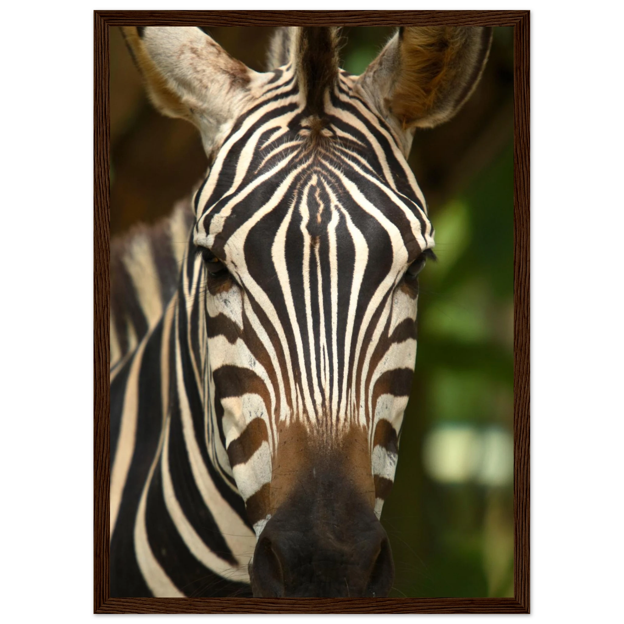 8f4e649d-9470-4224-9709-ed588713985e