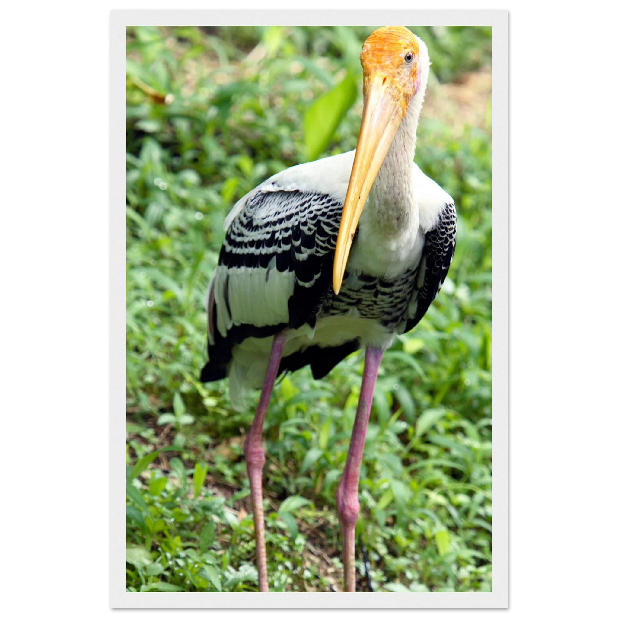 8f507a6c-8333-44e4-bf4a-ed664e71c6f8