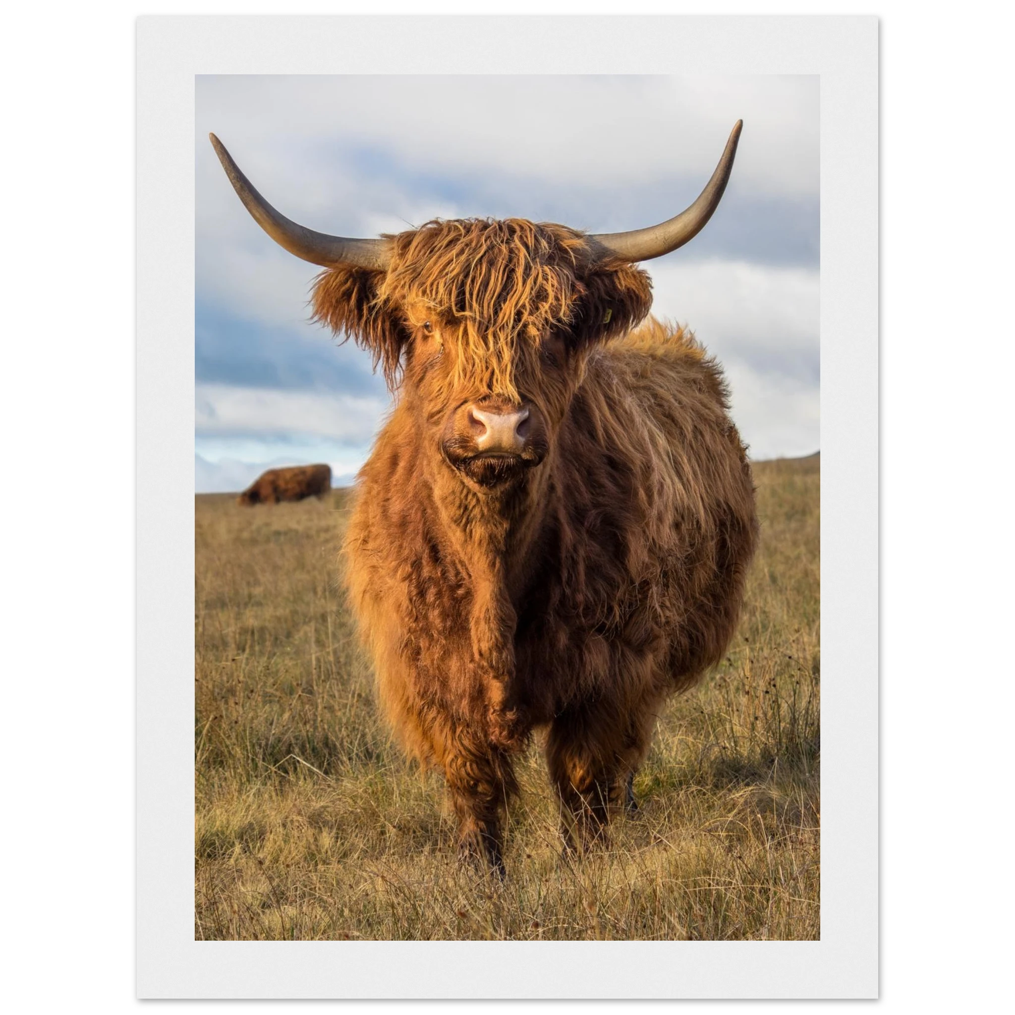 8f782604-7d0e-49a9-86e5-7423fccf6edc