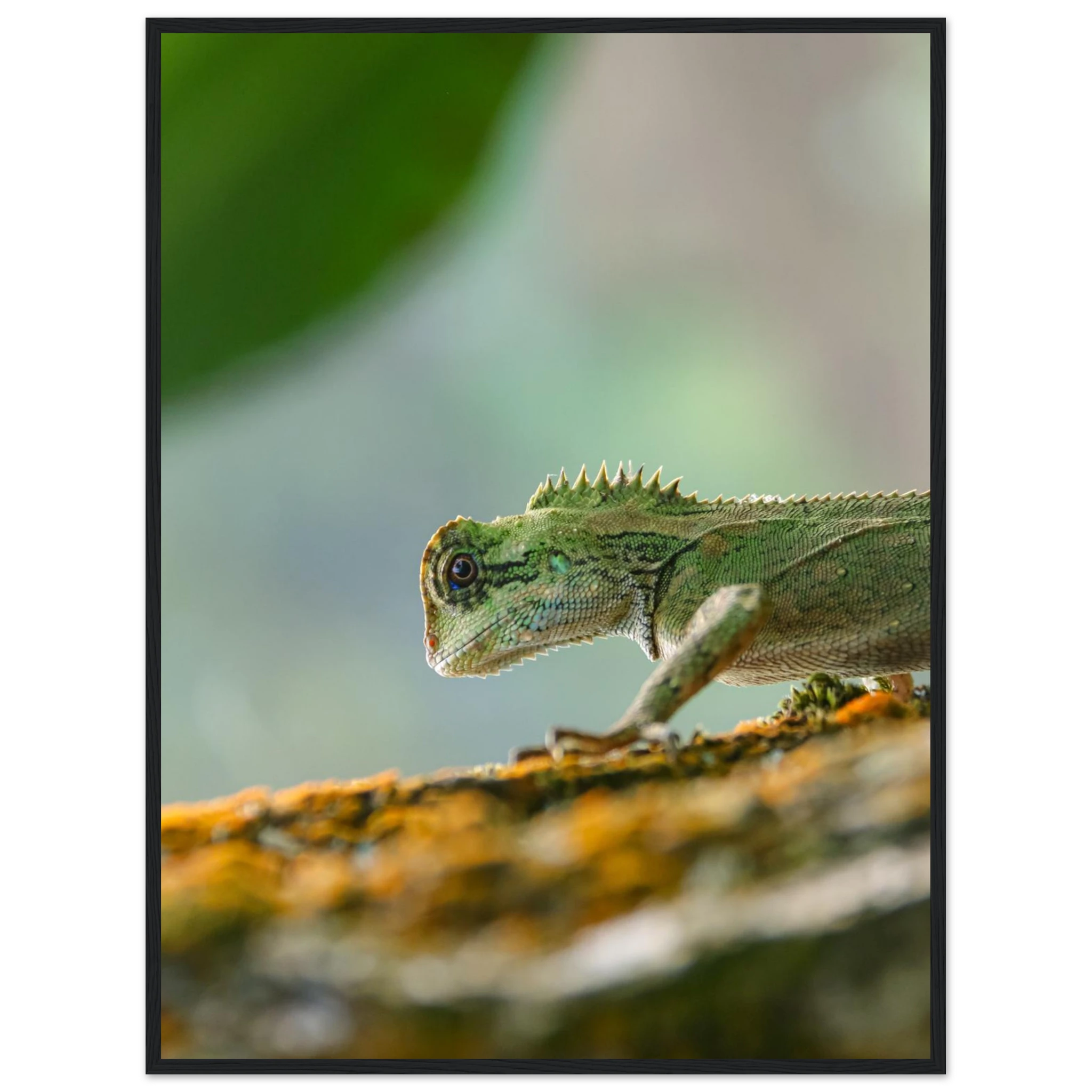 8f84834f-7e46-4de1-bb08-37602e878b73