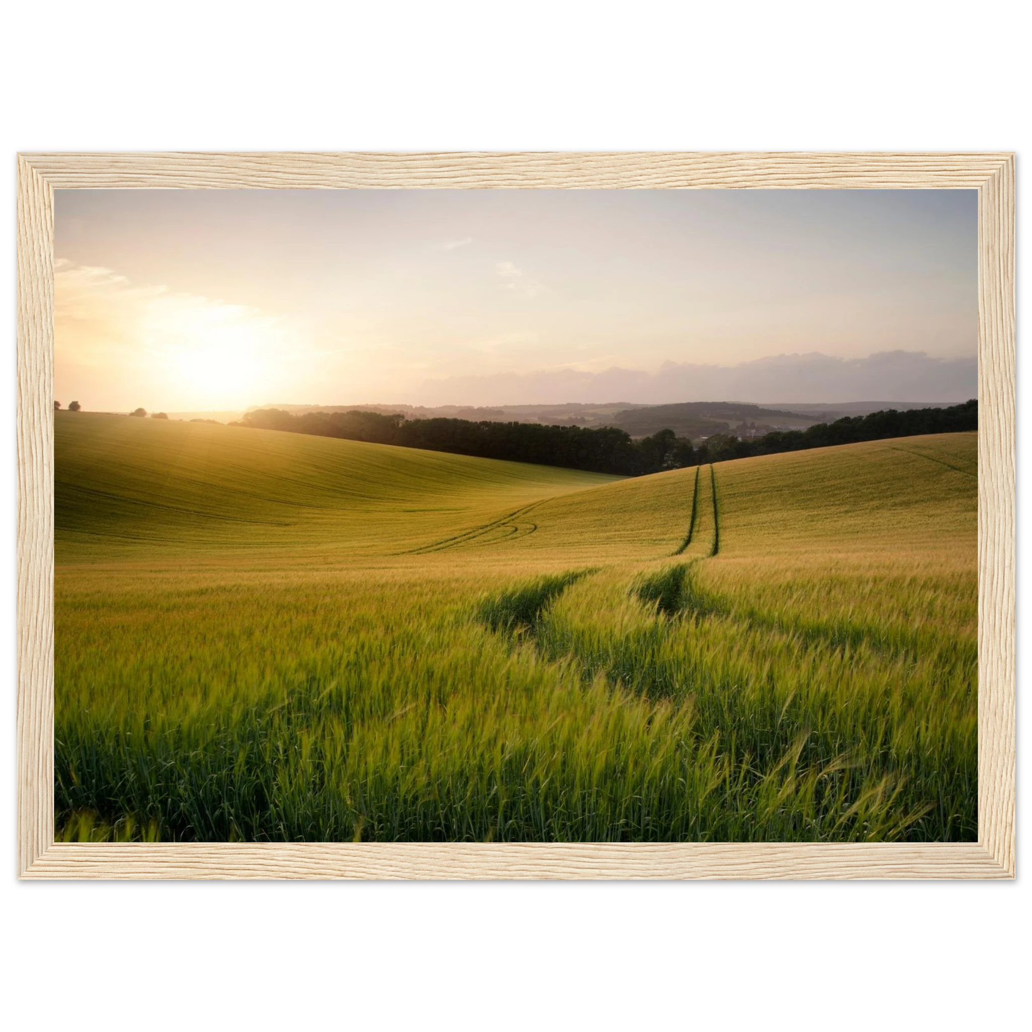 8f8baf41-e8da-4bbb-bd7e-8c9c24f549fe