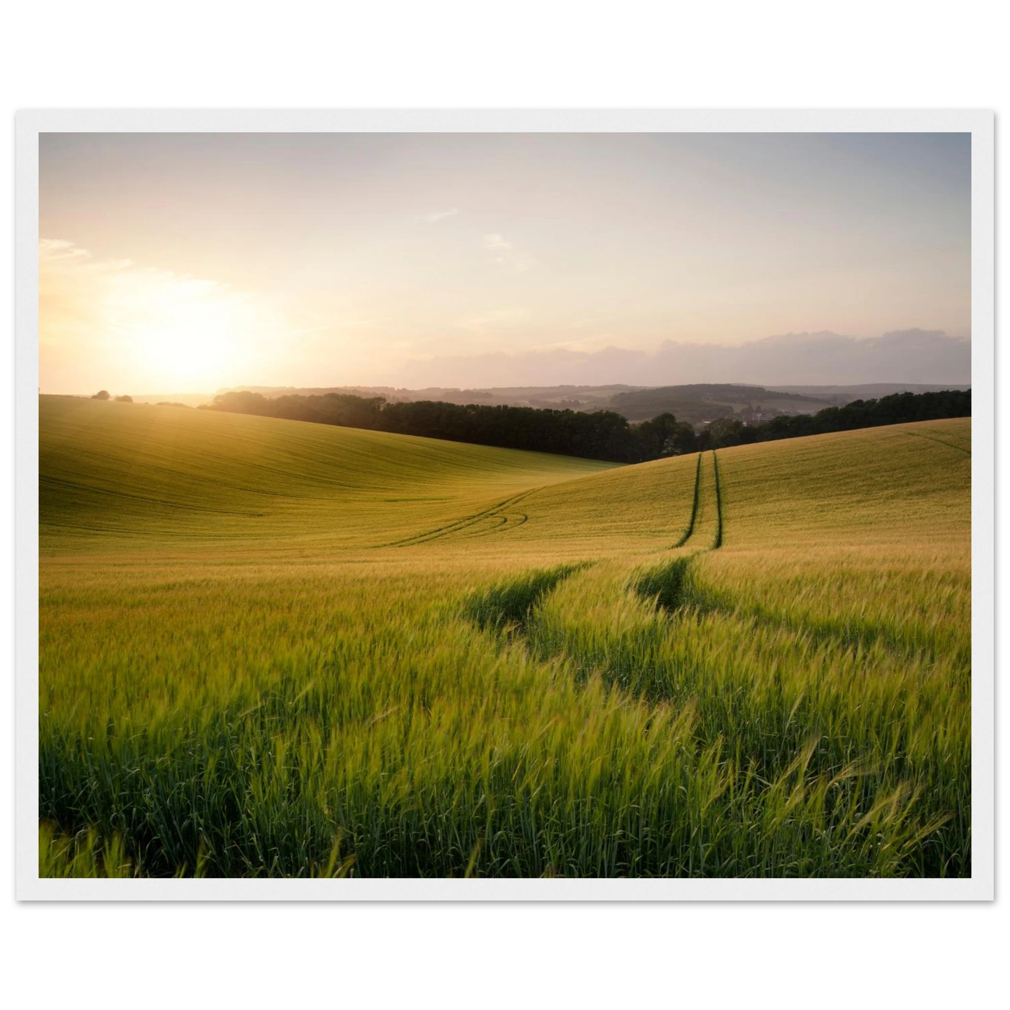 8f912c54-f230-46a0-b9c0-263b397425e3