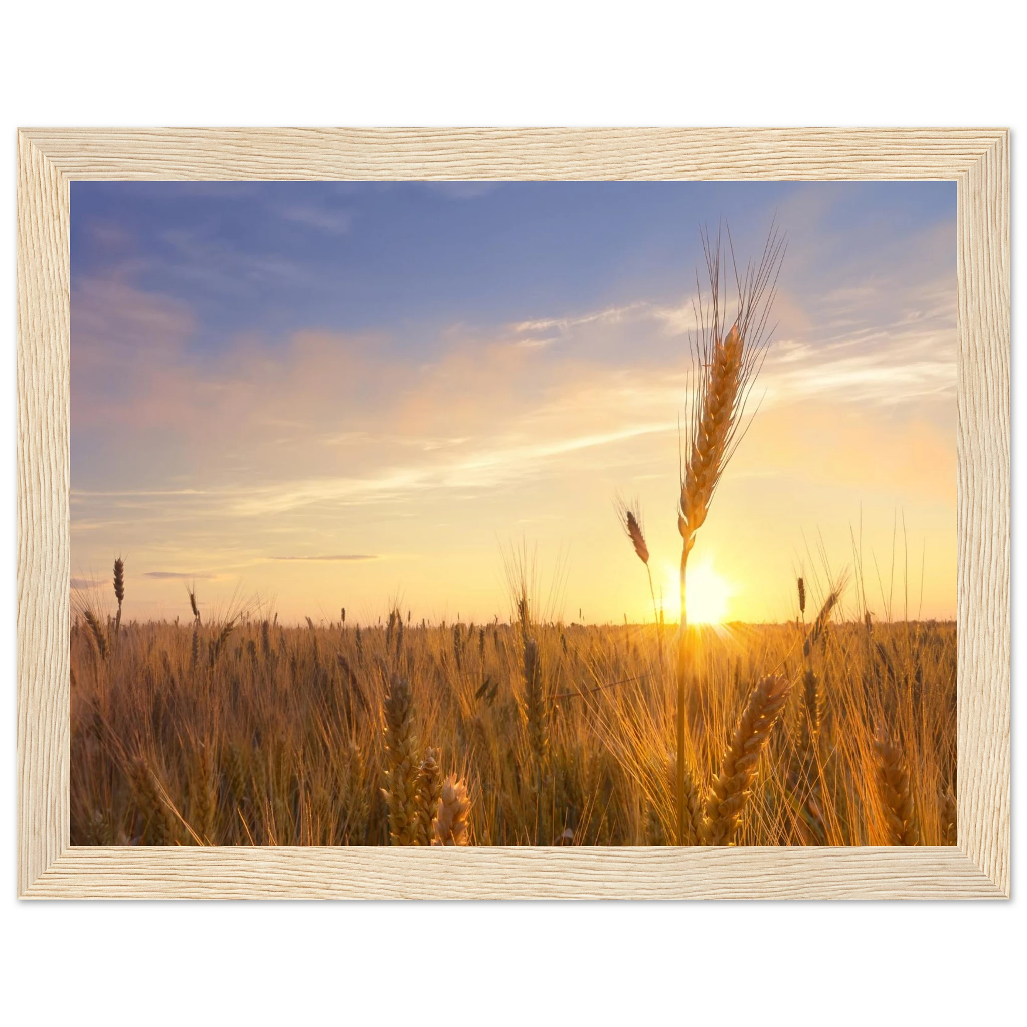 8fa3df04-9ab2-458c-9855-3be4bceb0c77