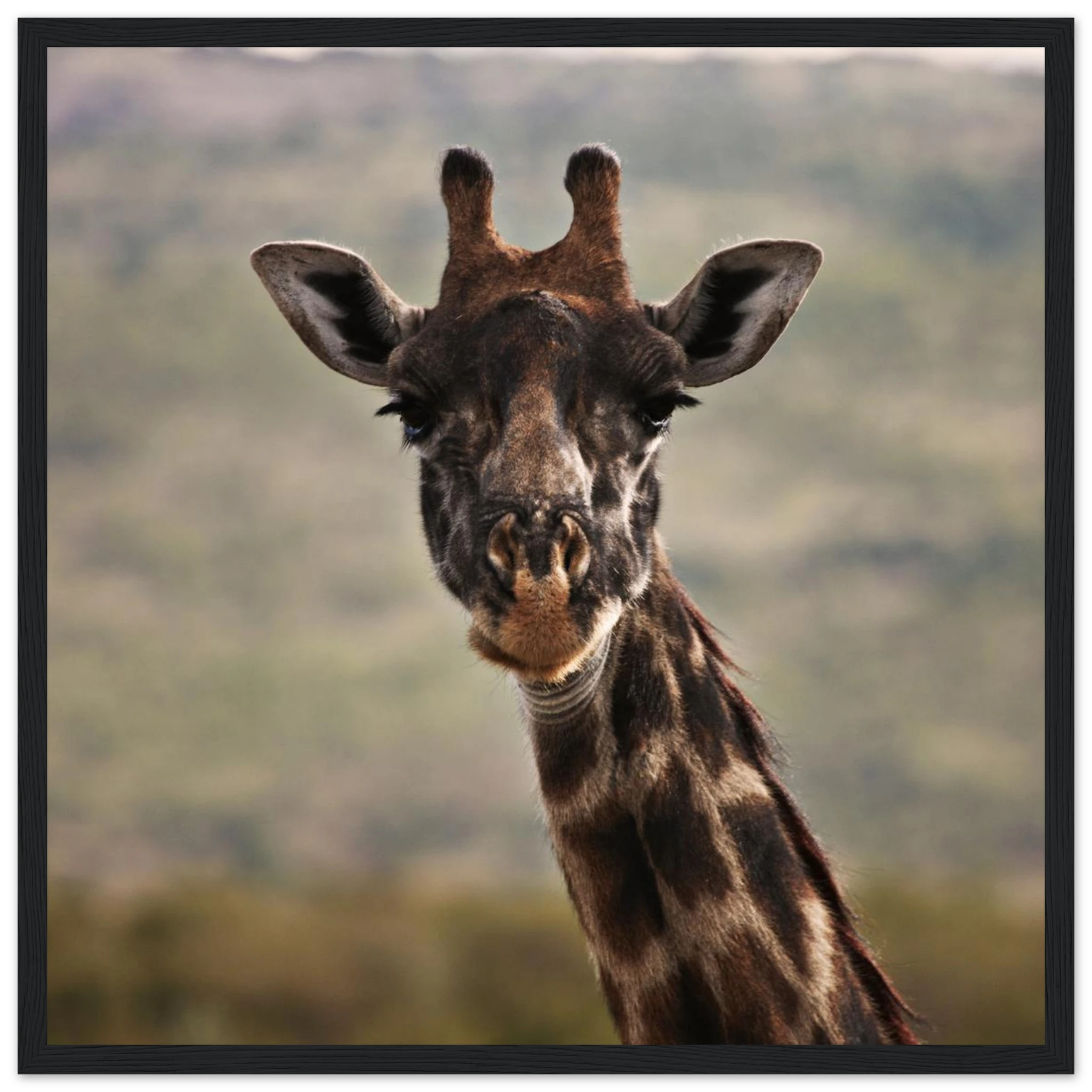 8fce2394-452e-42df-9370-b217329d981c