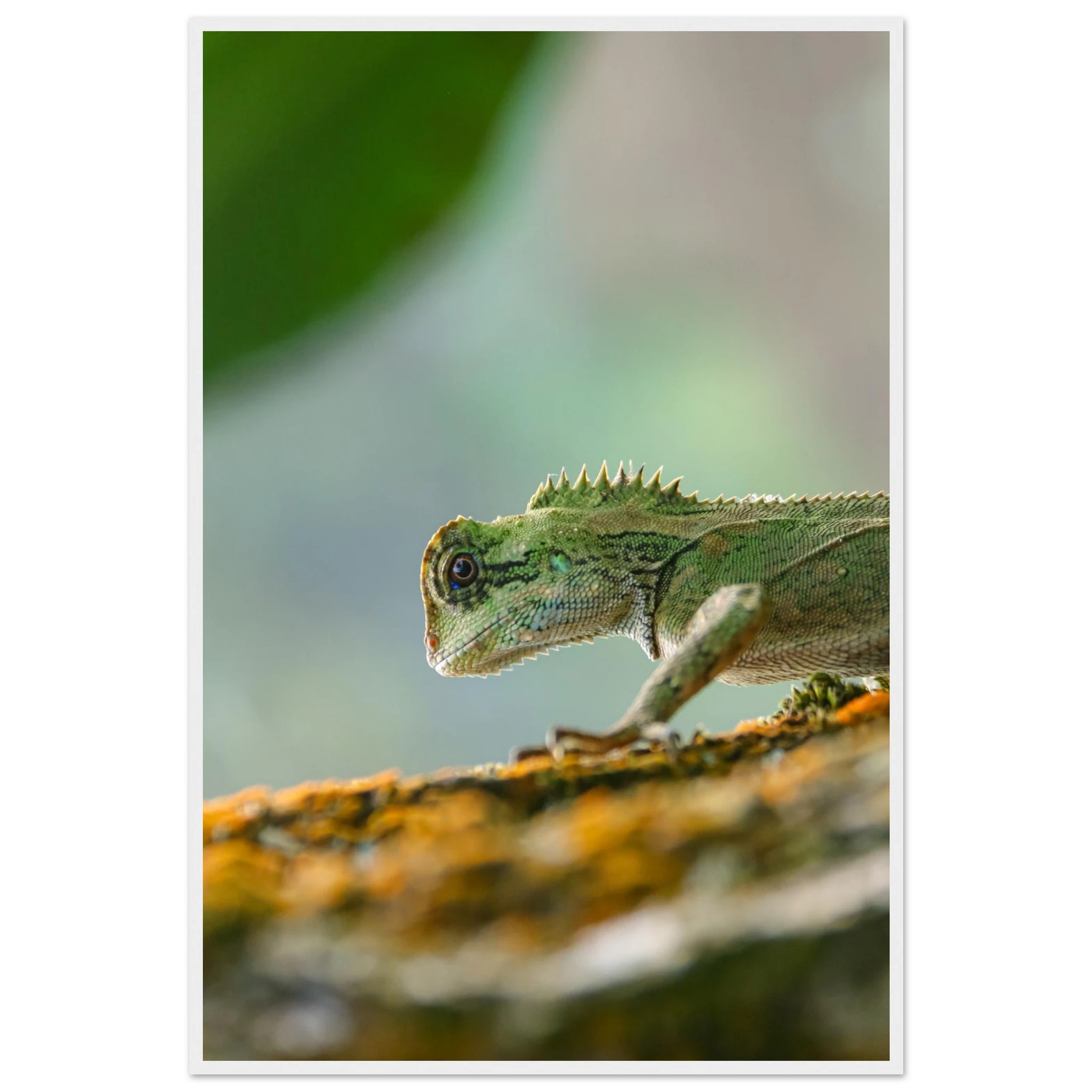 8fe97f47-260e-475a-a7b4-3e28919ca338