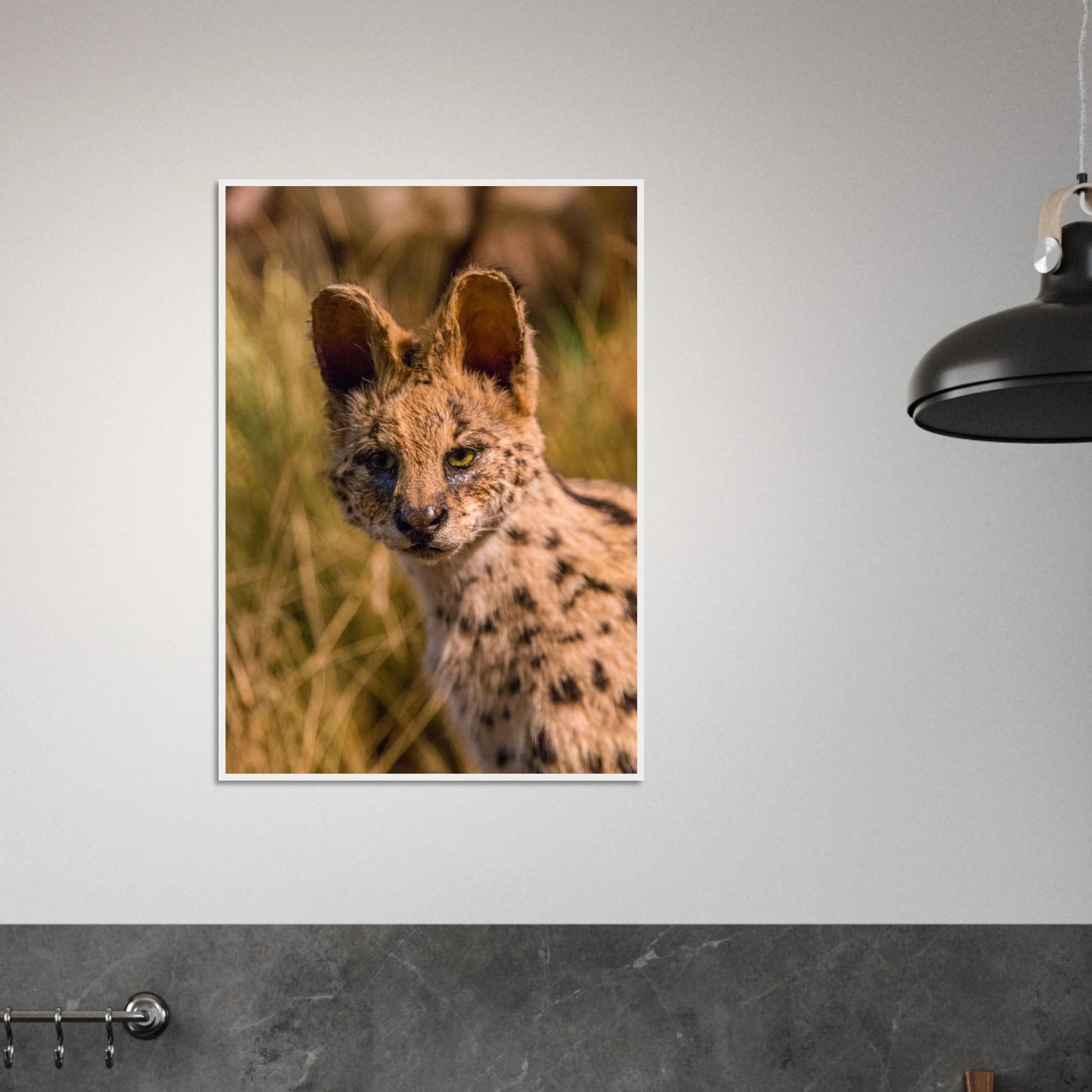 8ff6d526-2667-4796-8390-757907eecfa7