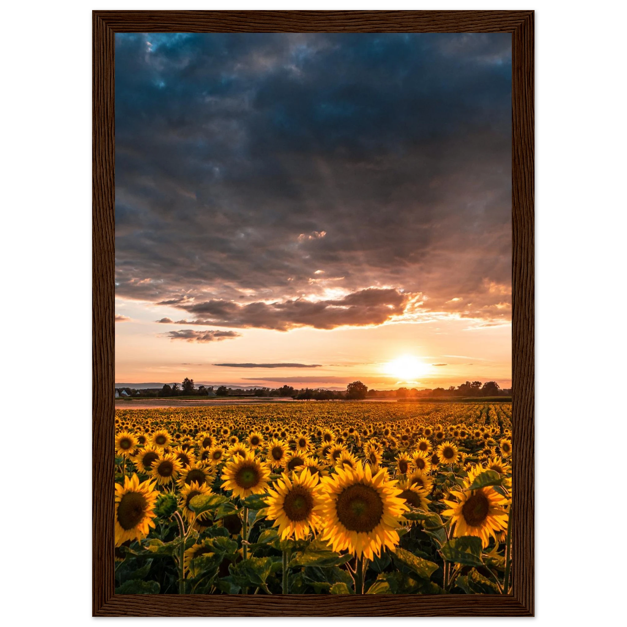 8ffe693f-3ab9-406a-99e9-015bcc8f6bb5