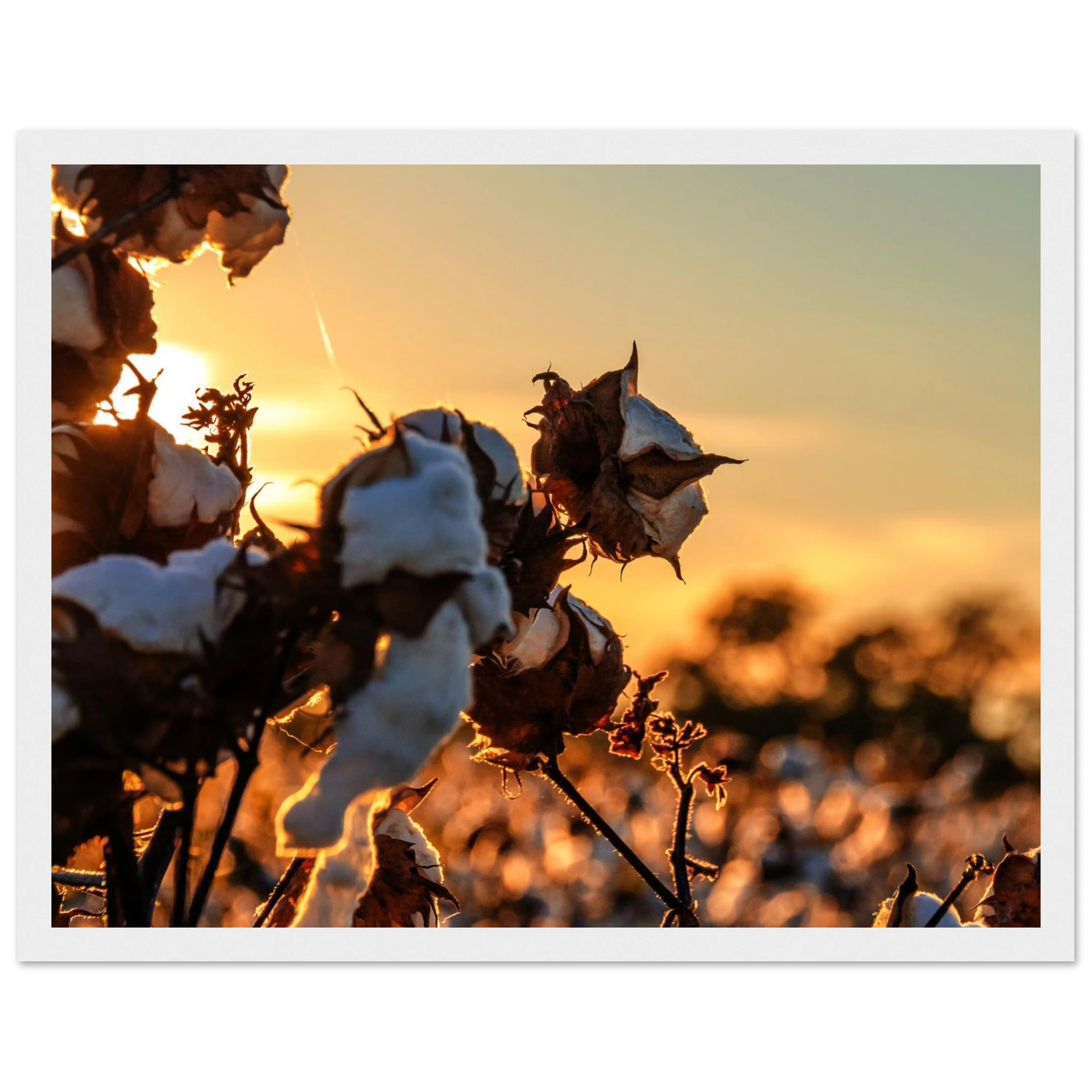 9000c628-d790-475d-8028-459bffbdce29