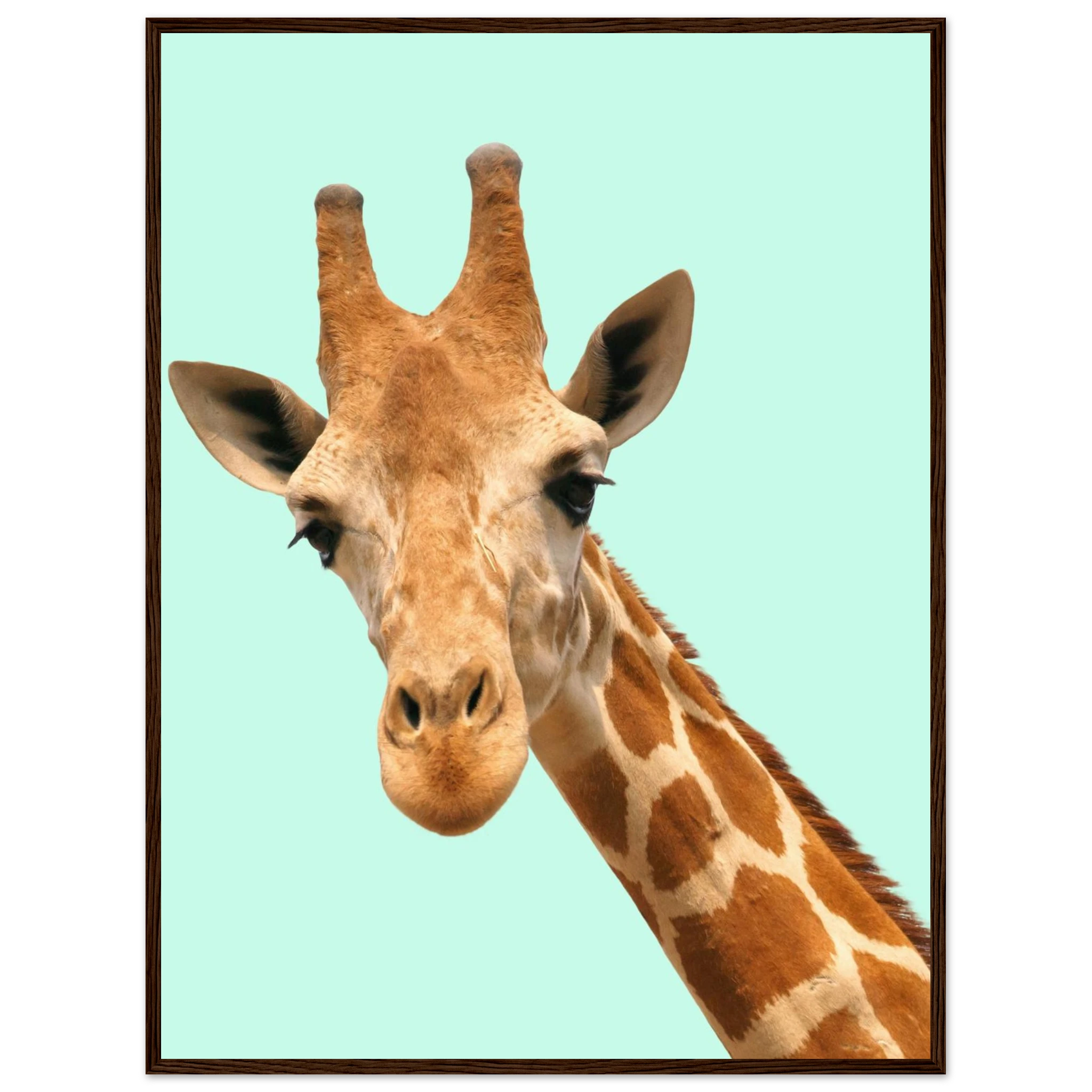 900c0ab8-cb00-4ffe-b567-836a1eda2e66