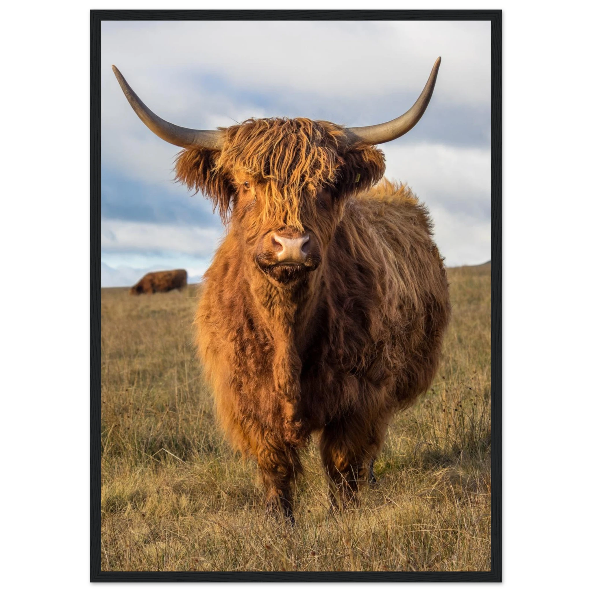 9049c411-dc7e-4e41-97d8-87462a412808