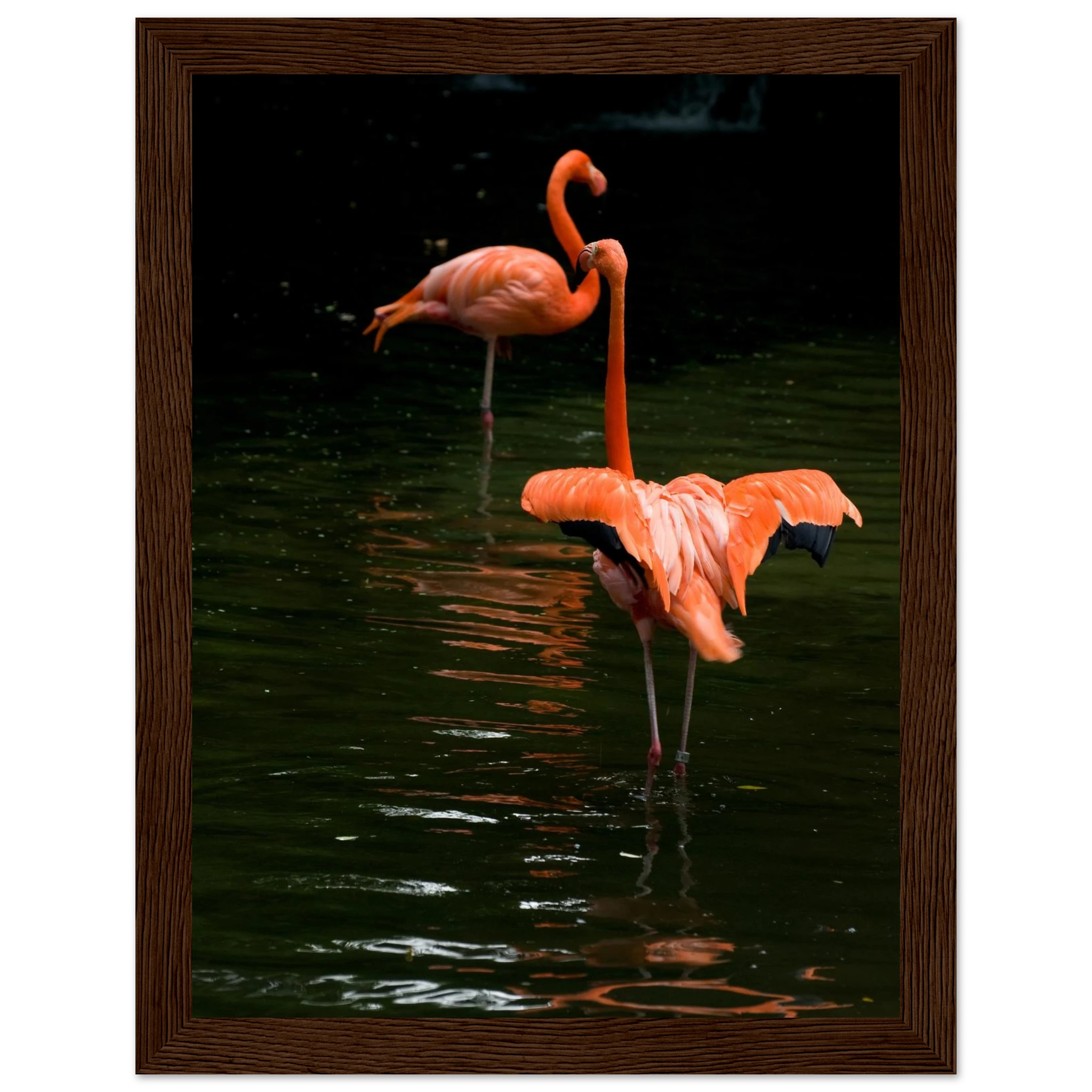 9049e9a7-be47-4061-979c-111ce992dc95