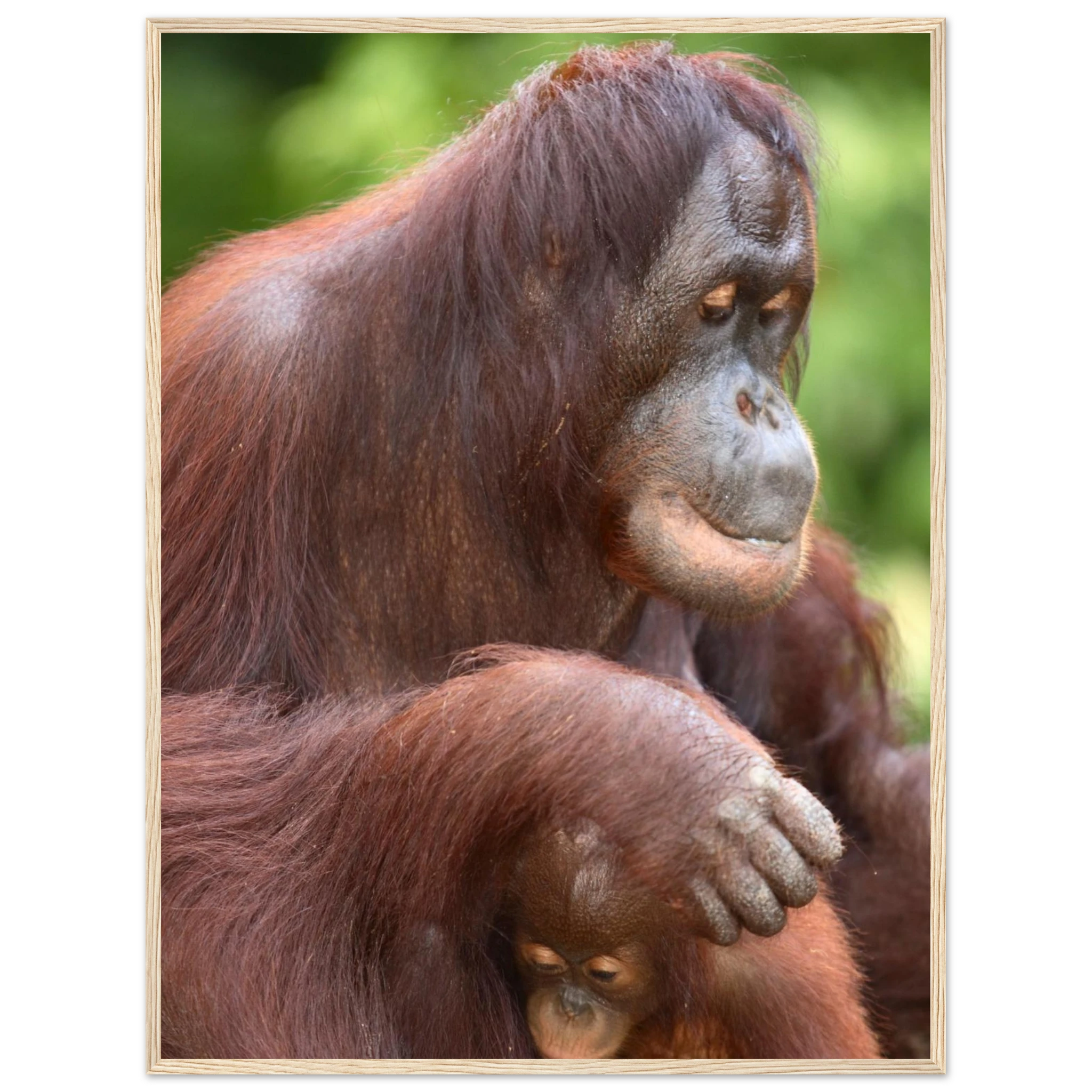 905c2351-f192-41ff-9546-802c6a8a55d8