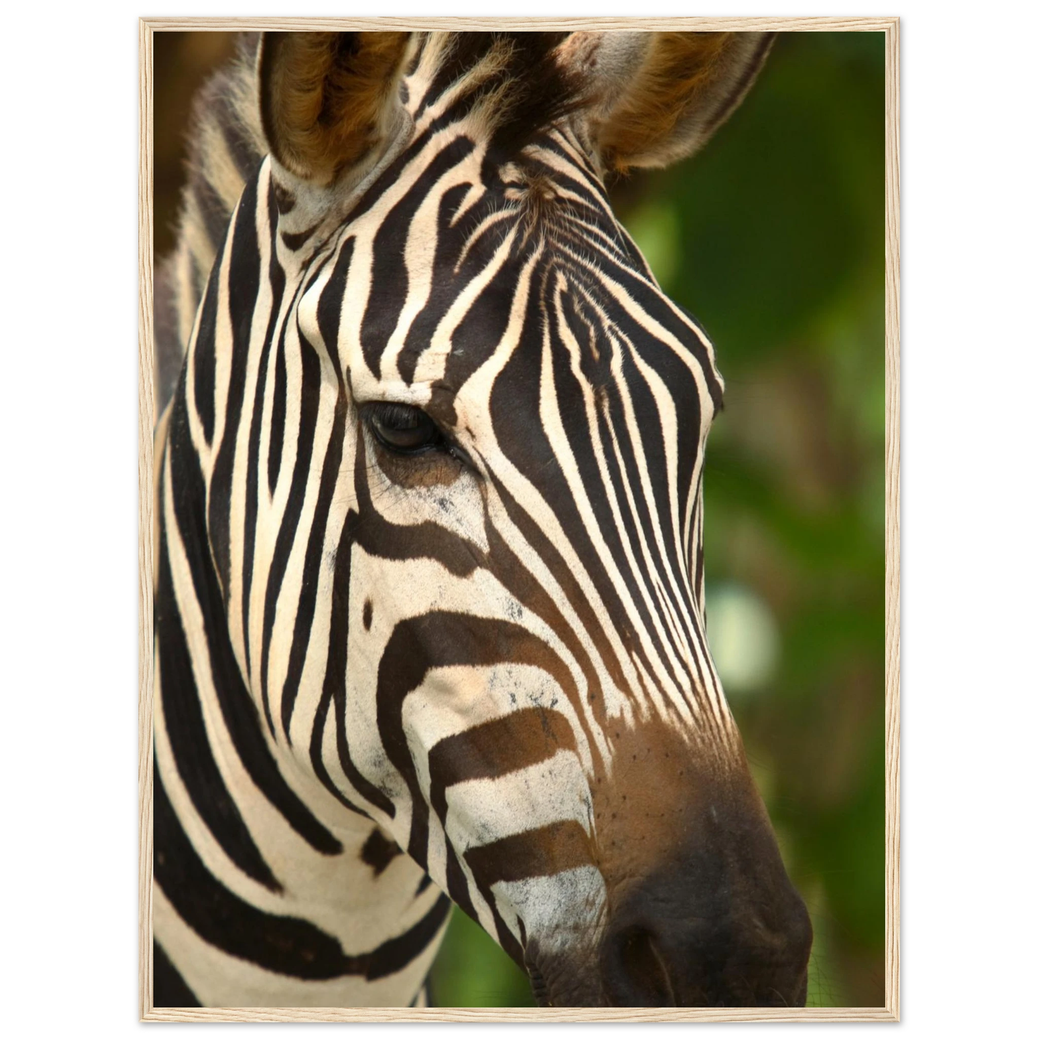 905feccb-896f-424f-b861-710d9a92f077