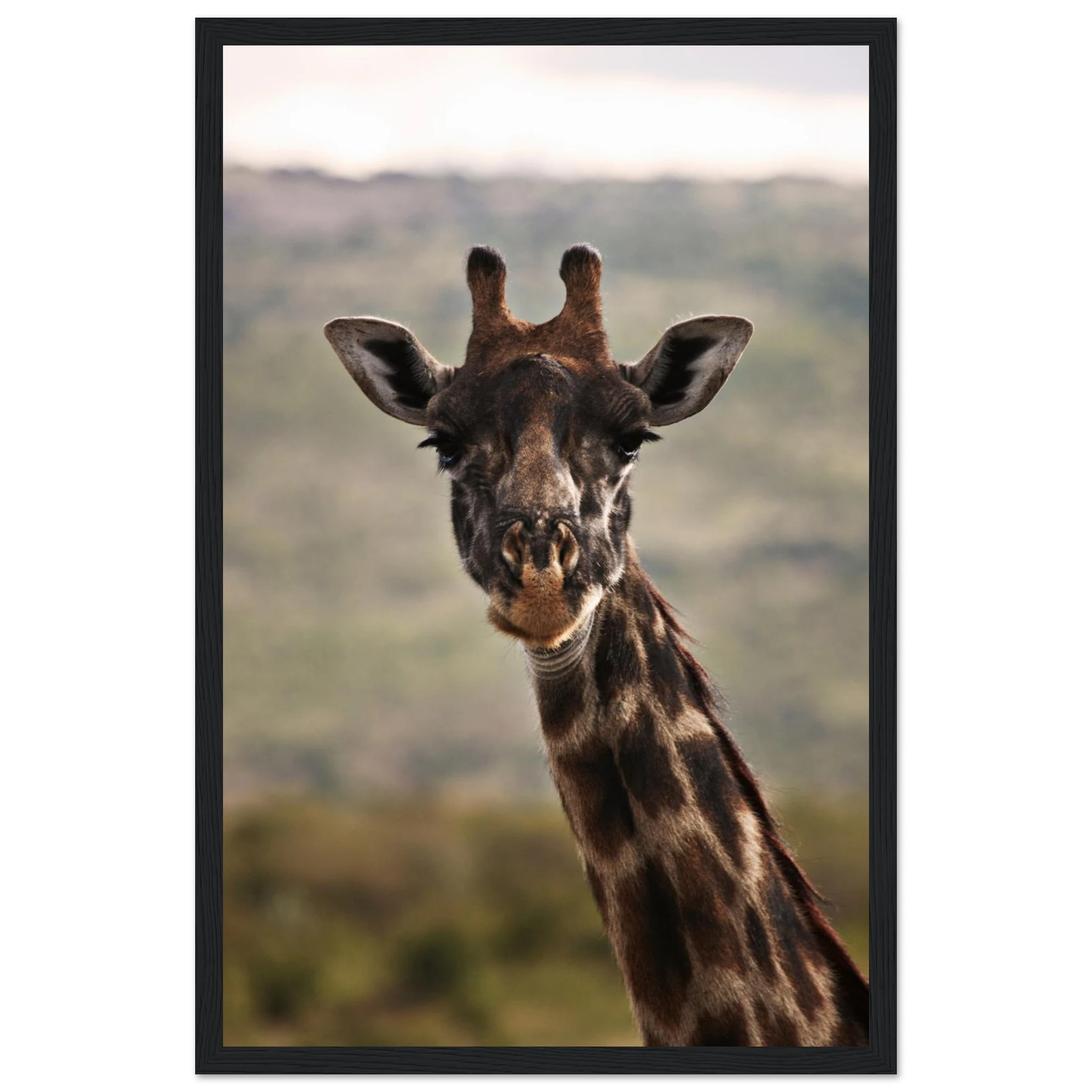 906b6cf9-7557-4fa9-8fd5-9fe633640890