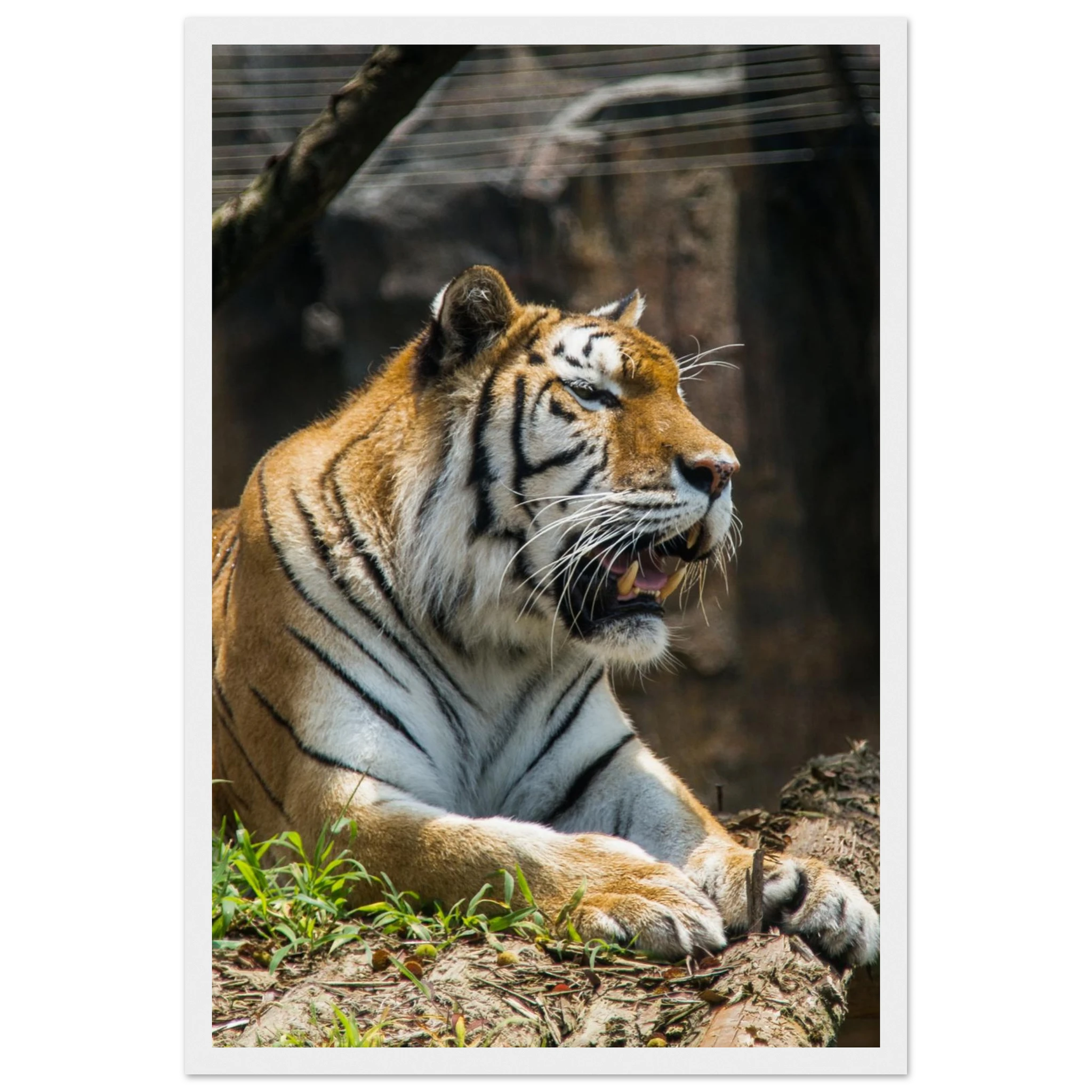 90a52d7e-5e26-45fc-85f7-4a58ba81a931