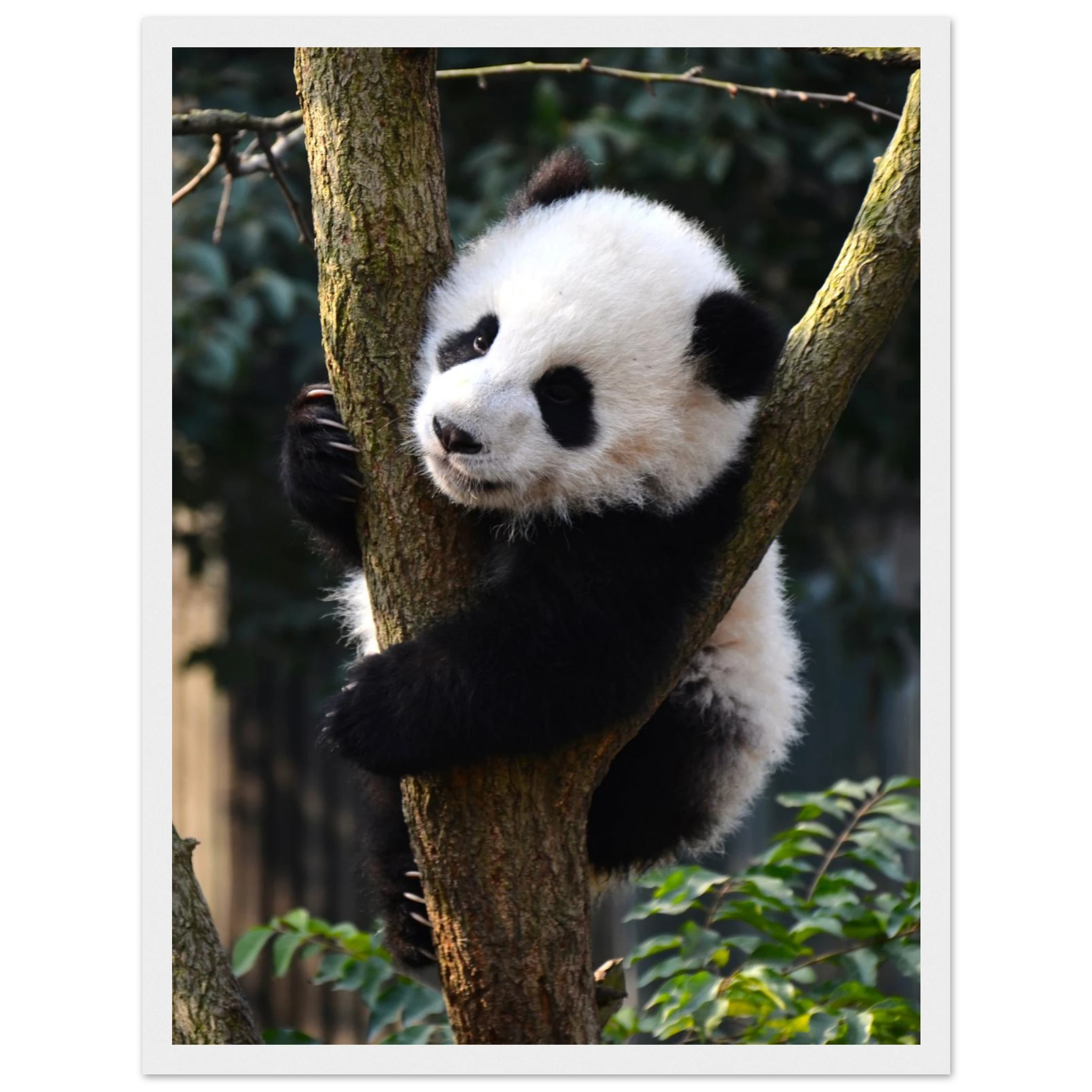 90b6c5fd-b72a-4308-90db-2062309f9aef