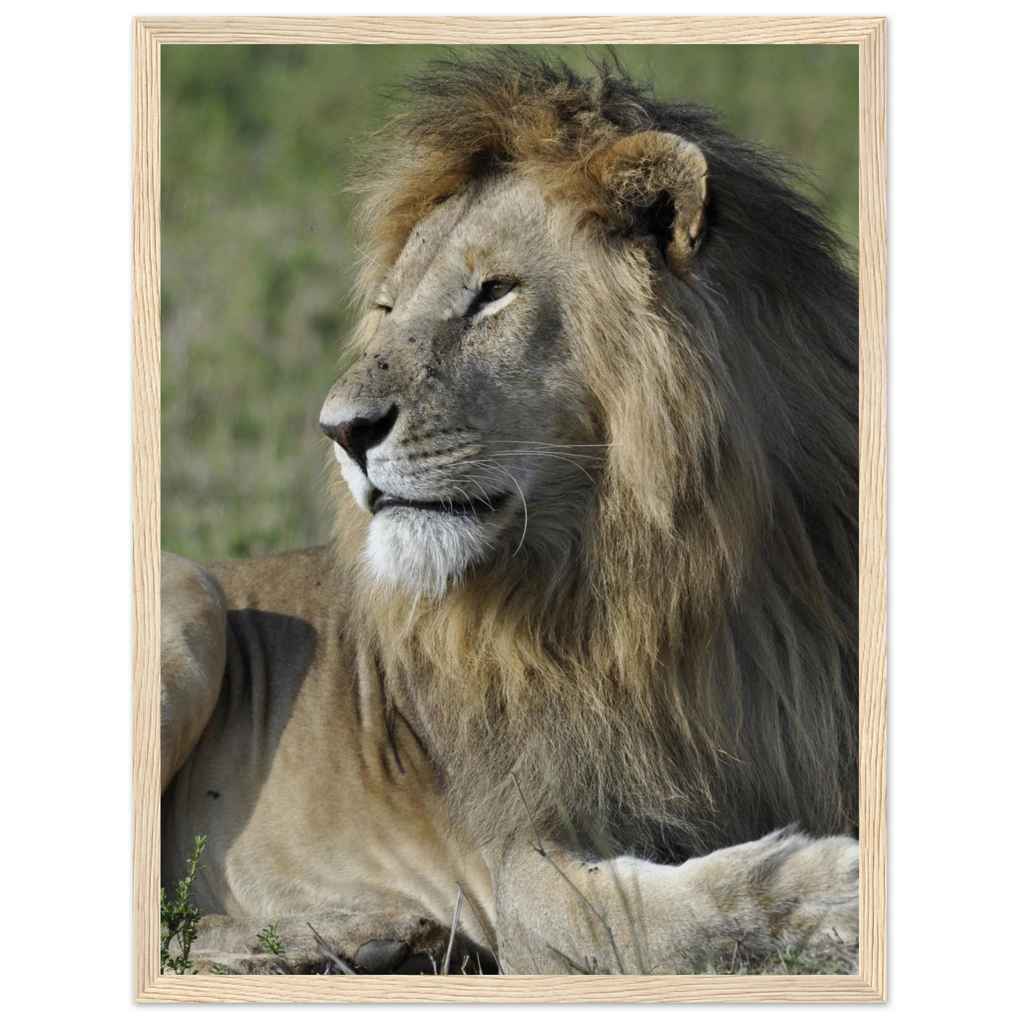 90d1e510-a980-4ef6-ac58-85c393b000c7