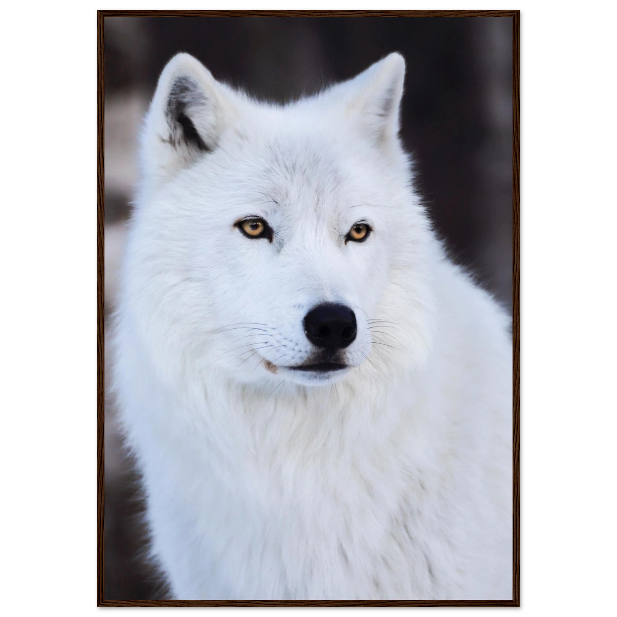 90d67ac3-53eb-4bc9-b1b6-8c7eb8510065