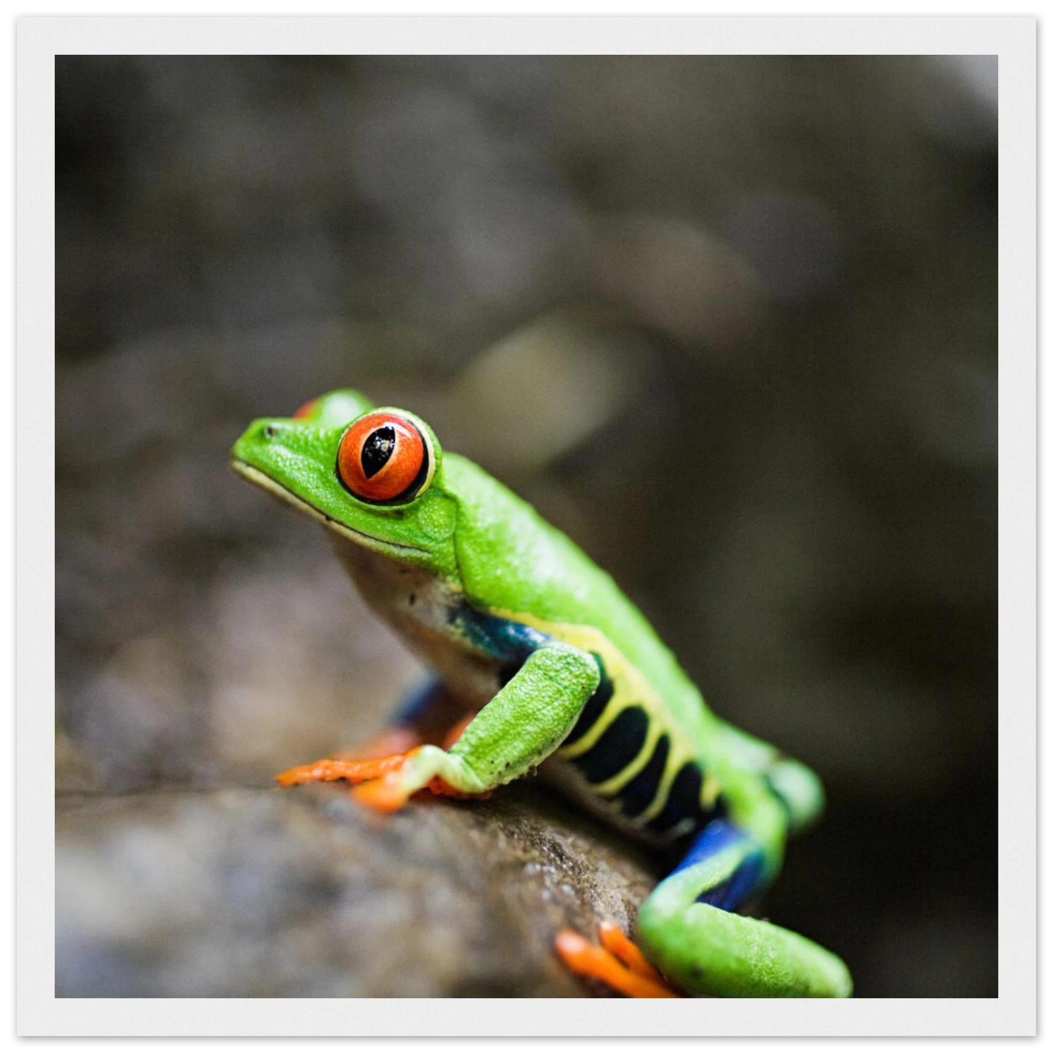 90da8082-77b5-4fbf-9493-c1f026b93759