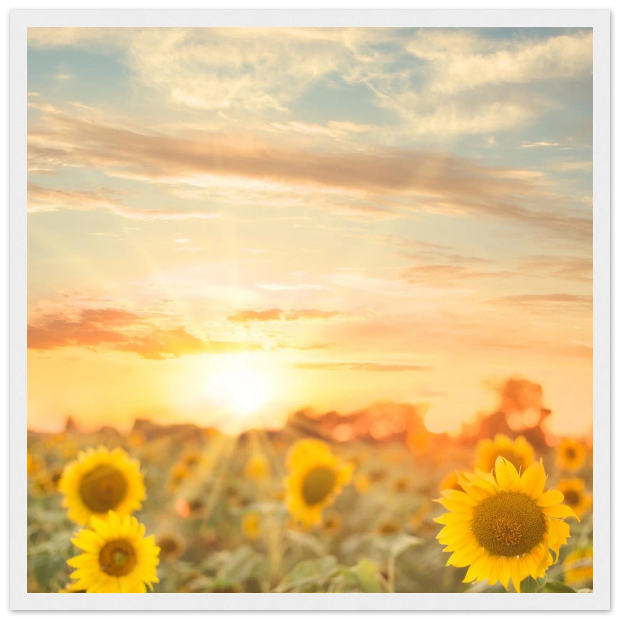 90f9bc80-10e8-4efb-8fa0-7f669e86df38