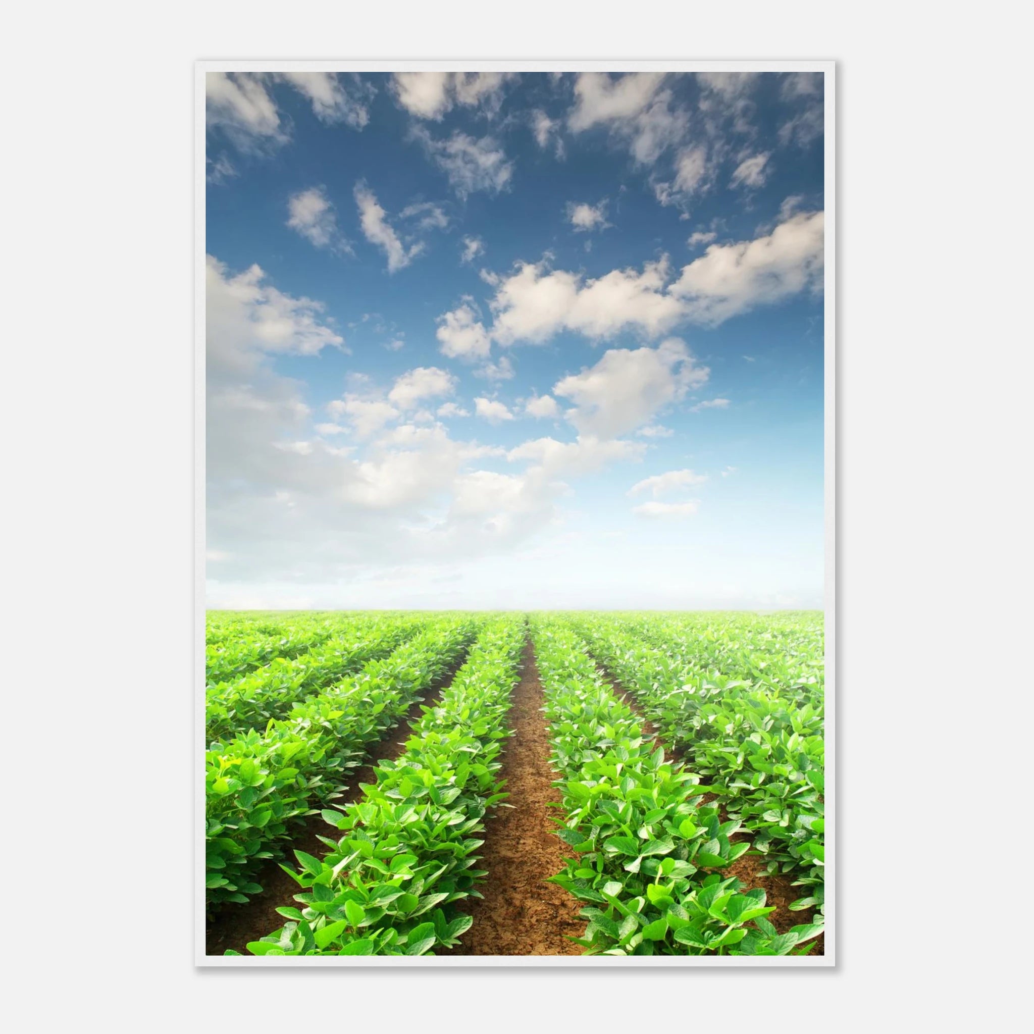 90ff1e56-59d5-4b58-8da2-5844bc9c57a6