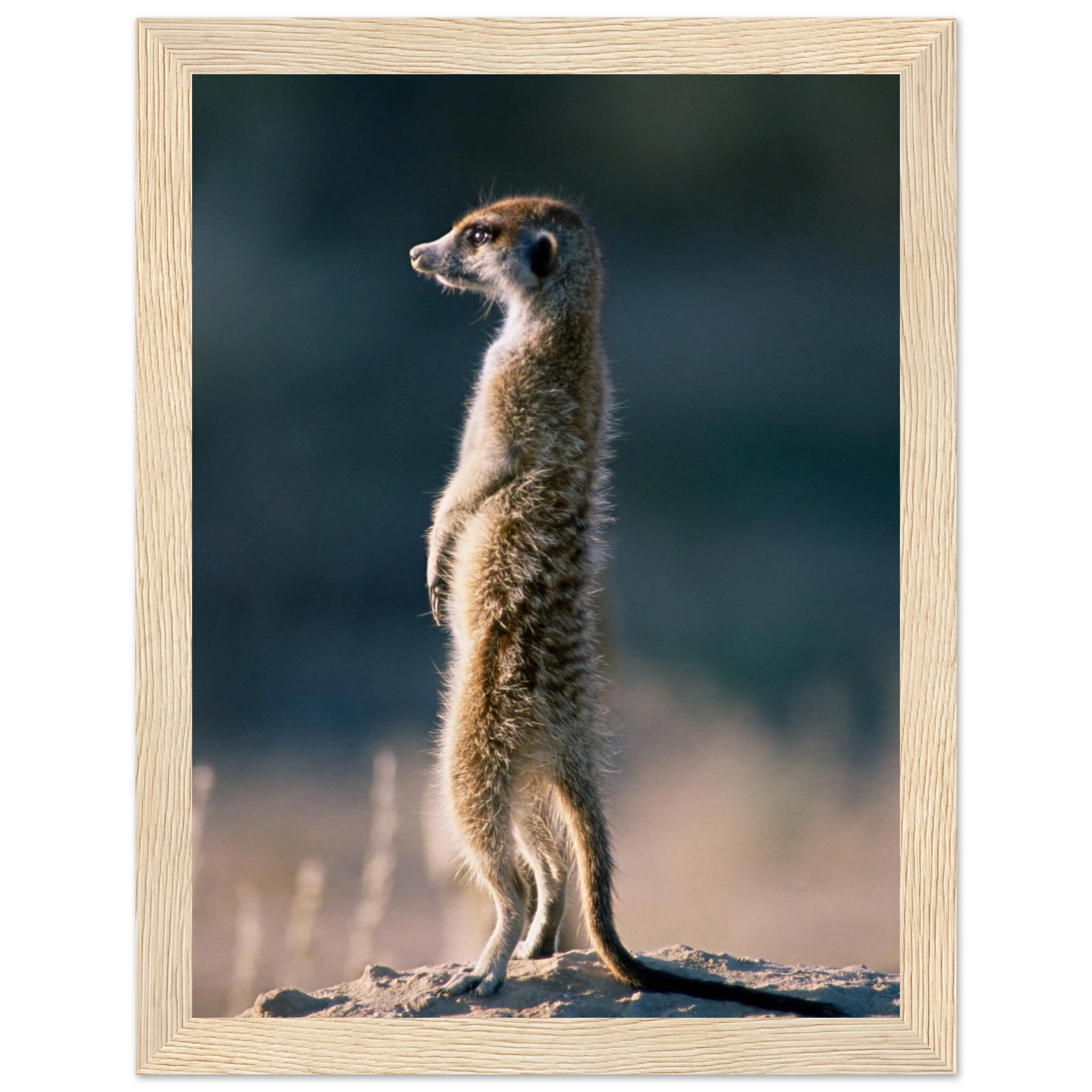 911a5e51-cfcc-40a2-a895-2626a1fd6111