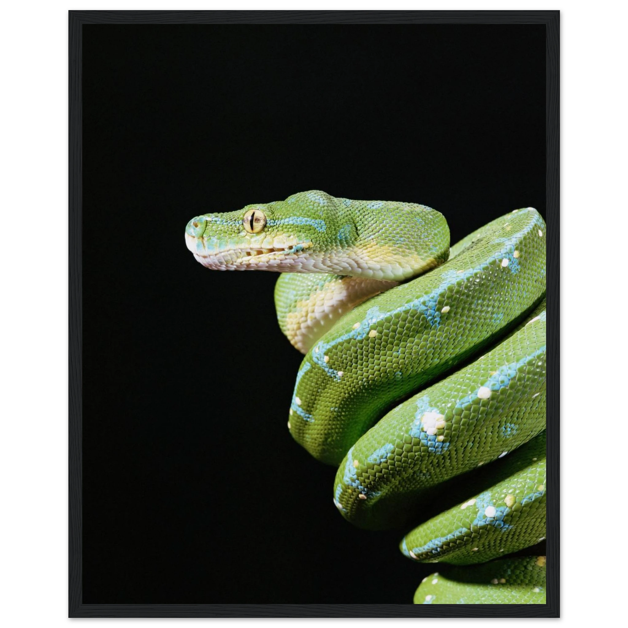 9121e254-f3a1-4b14-ae30-2bea2ee6ea4e