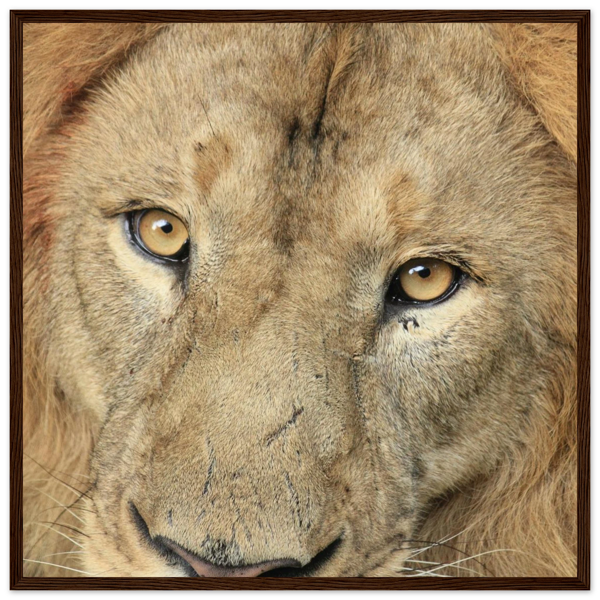 9155b9d9-4462-40fd-8a6c-2be2c2024b4a