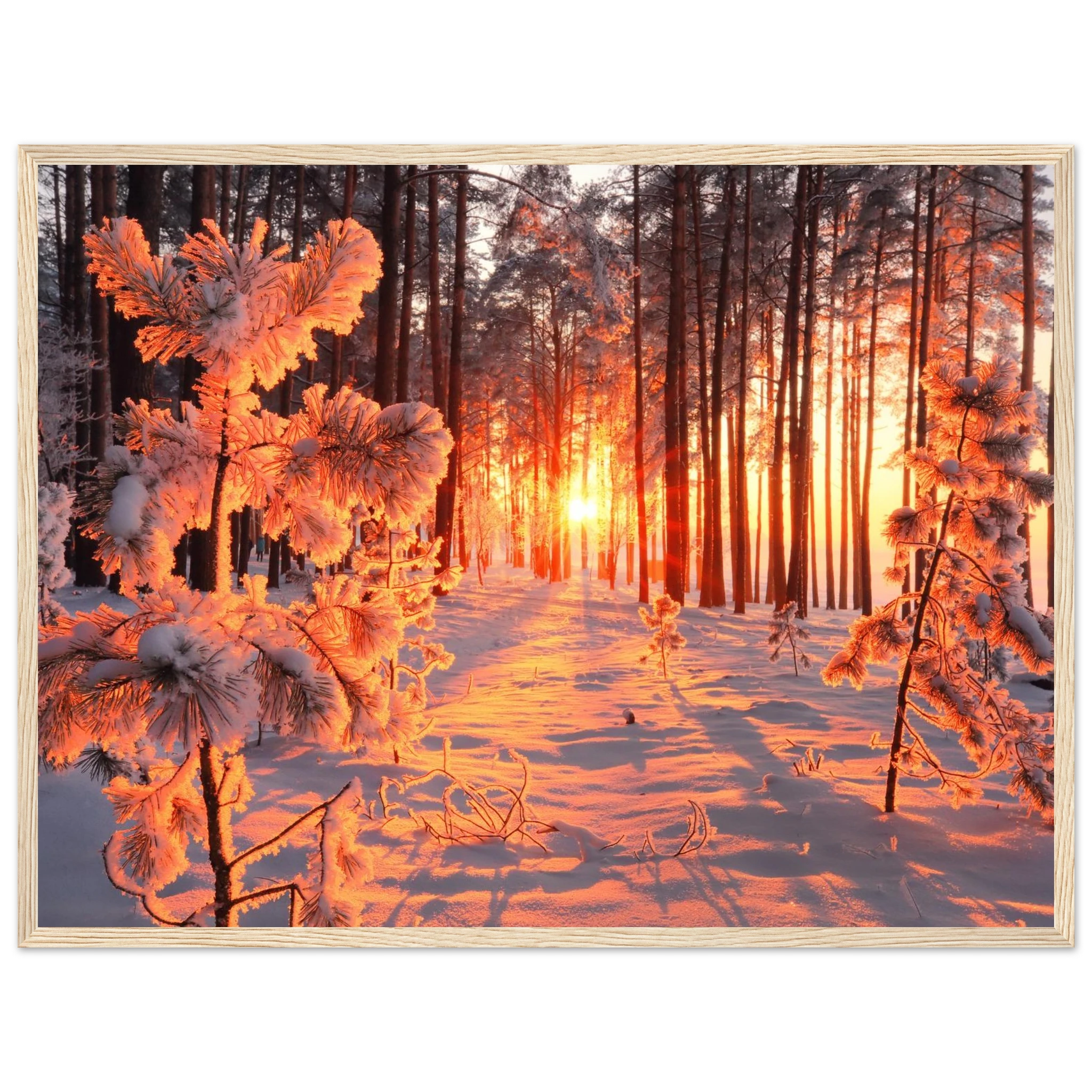 91731331-e8a7-4df1-b814-e1efb4032d6f