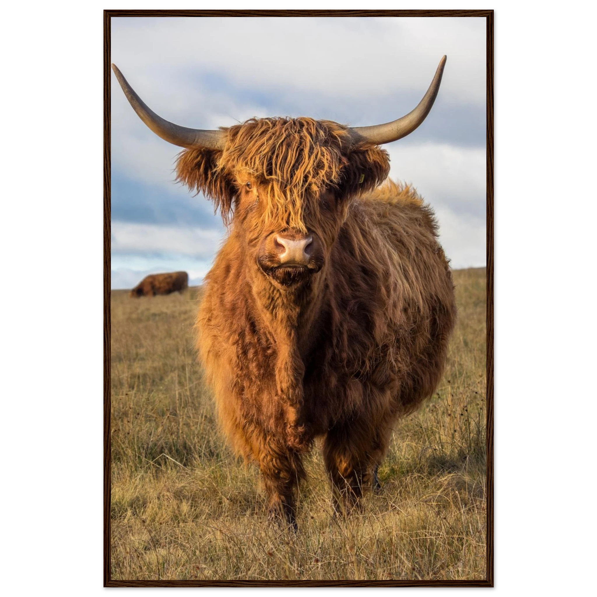 917417b8-2386-4ed1-94e6-a32aaab50c93