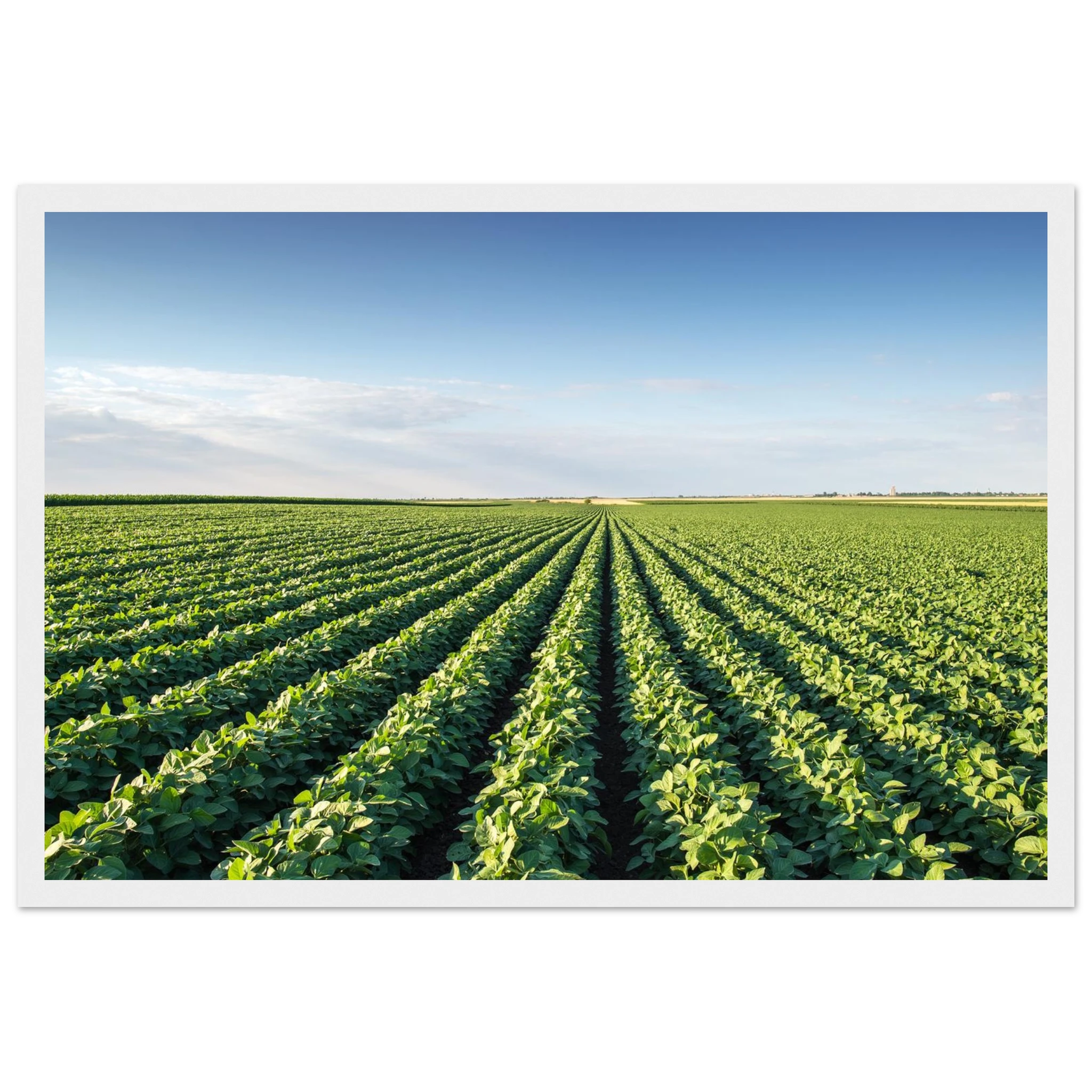 9179734a-69d6-4183-82ea-5121ed95e64a