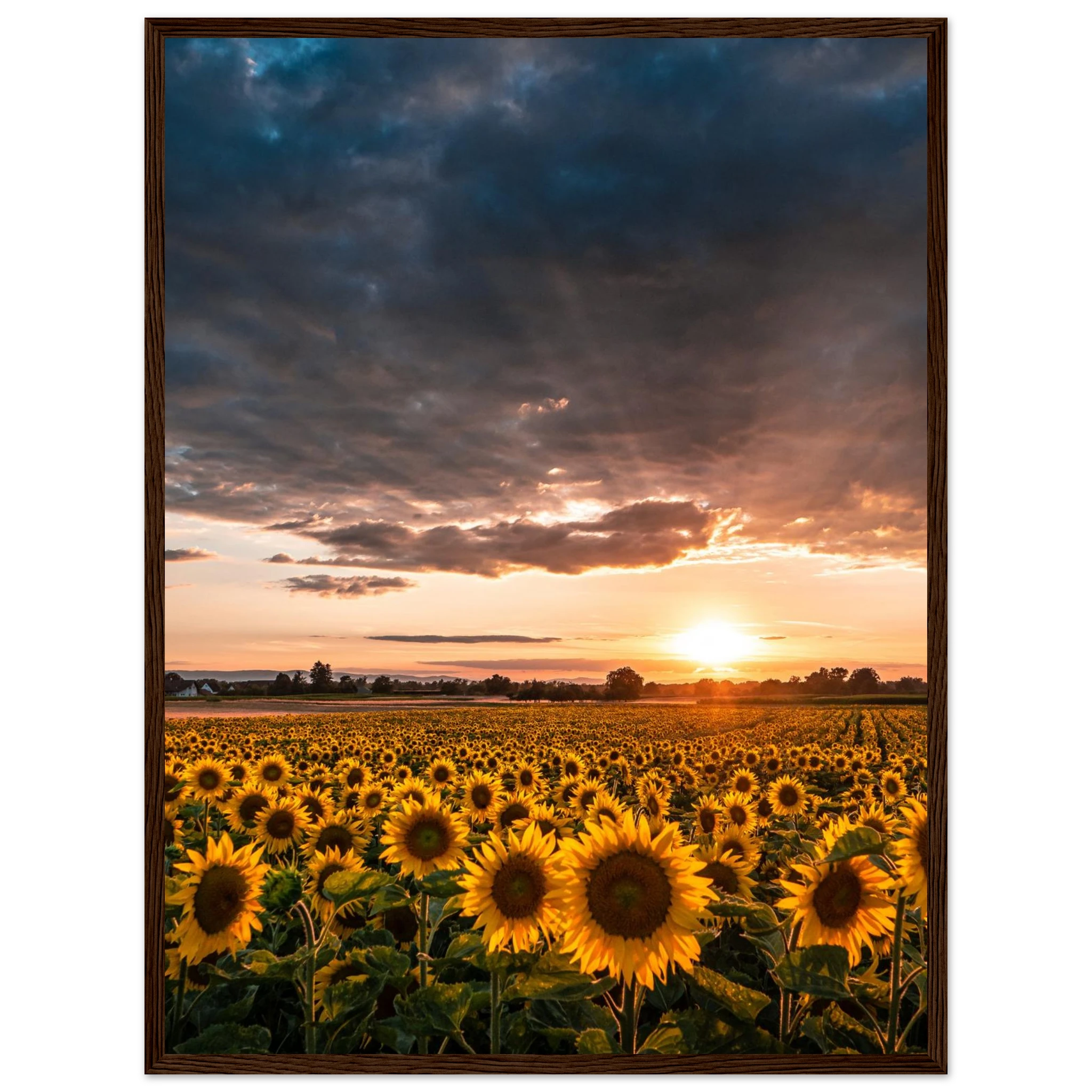 919a475d-fc65-43a9-a3b2-131f5b172a28