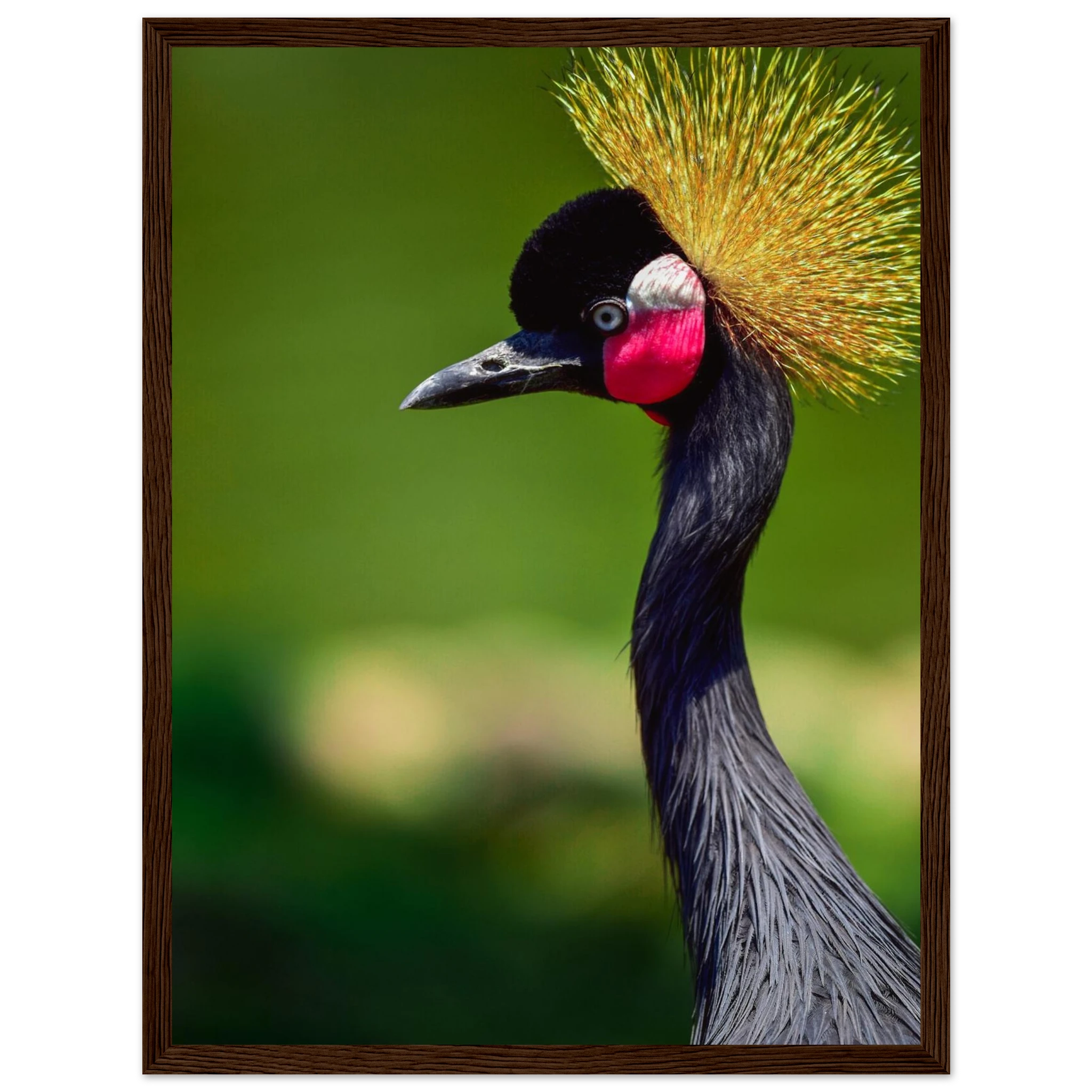 91a5409a-e455-474b-acd6-431daa6fb035