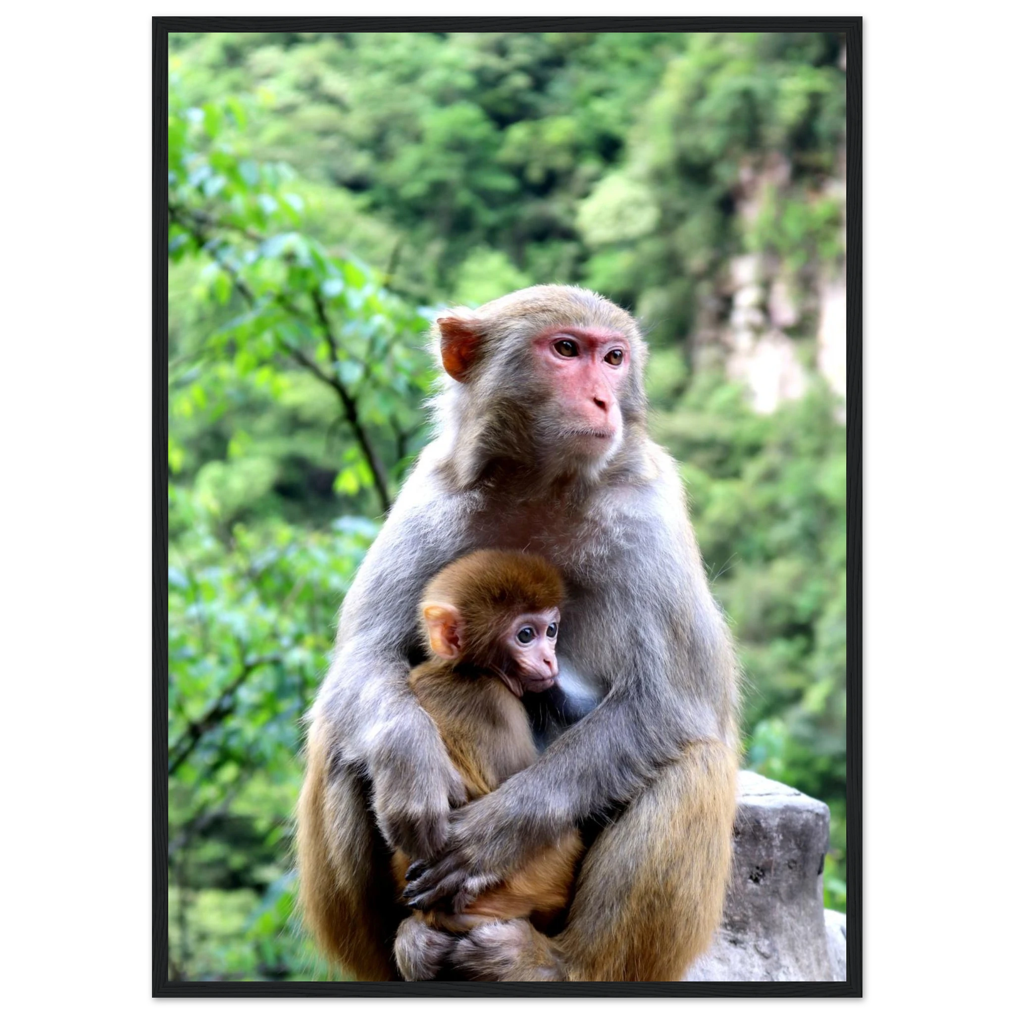 91c4aeff-7464-4e11-9b0f-f9570ebf5e9a