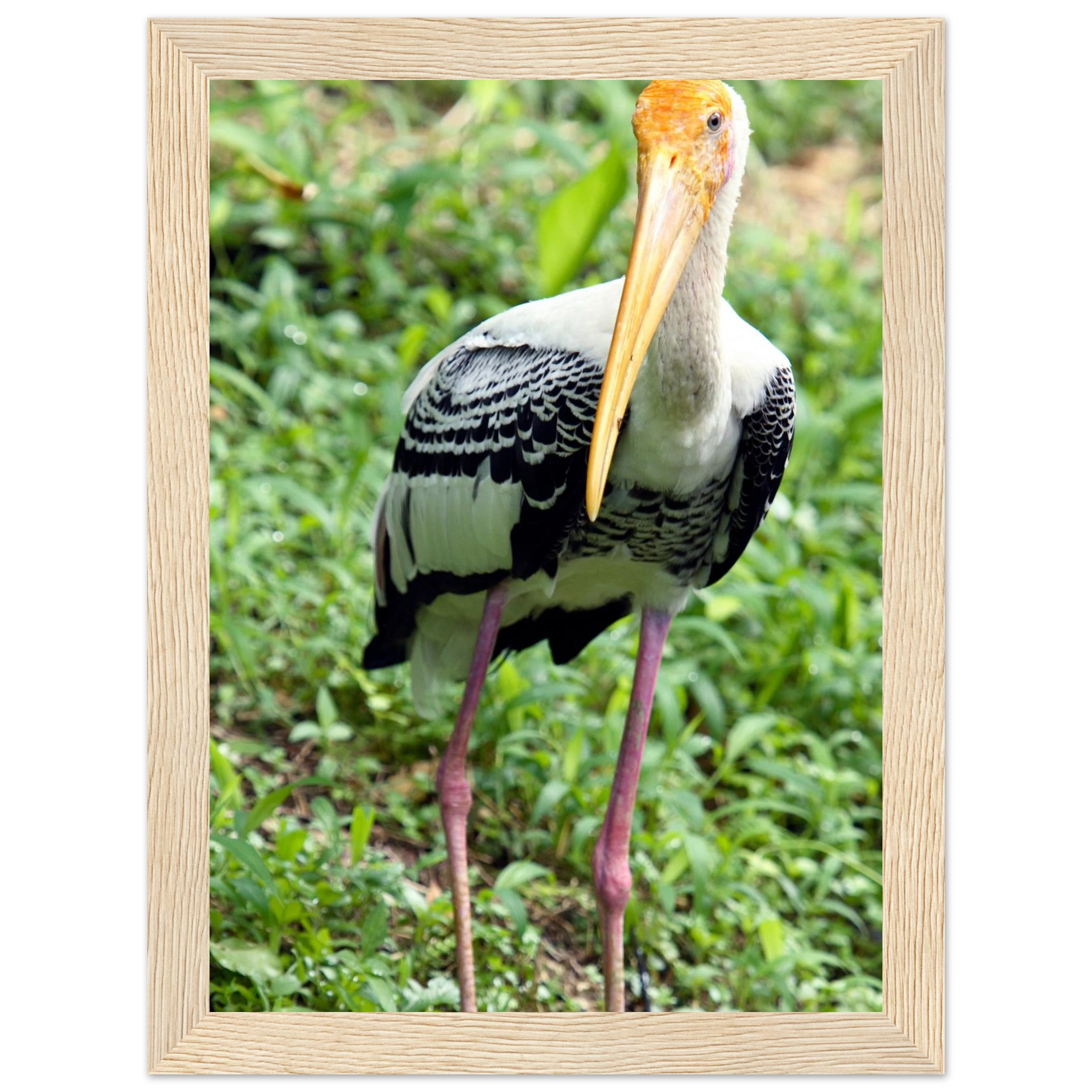 92091d83-ea27-4fa9-902e-12eb971929dc