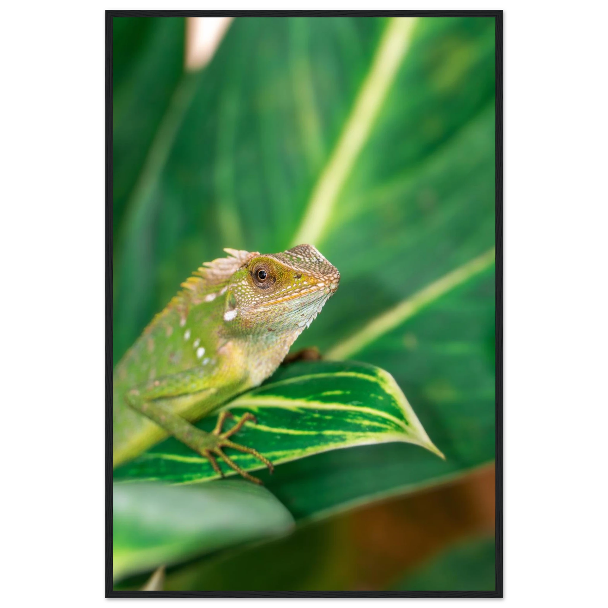 921059f6-b6b5-43eb-a667-a9b52dac7753