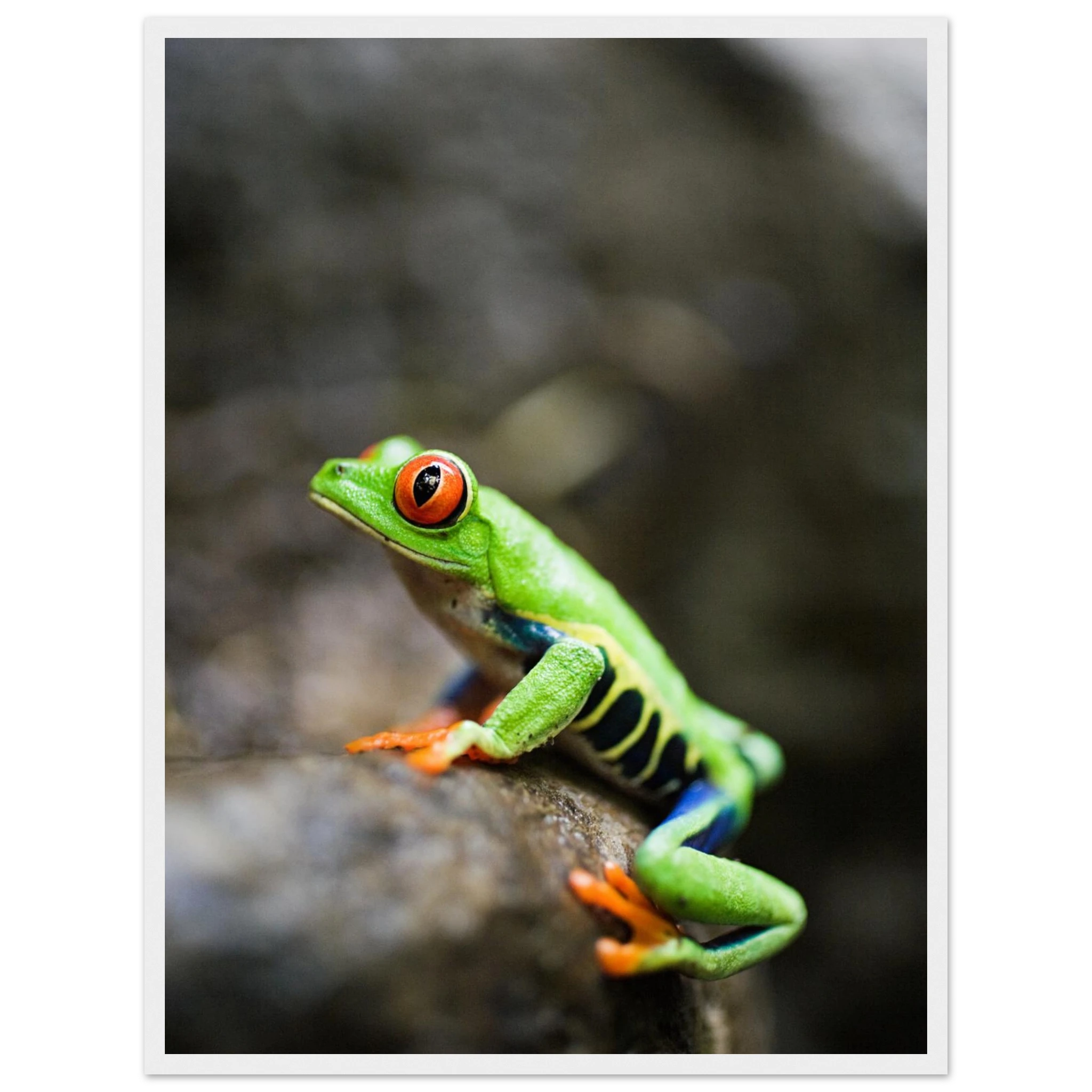 92184cb7-b9e2-415e-848c-e66b4bab667d