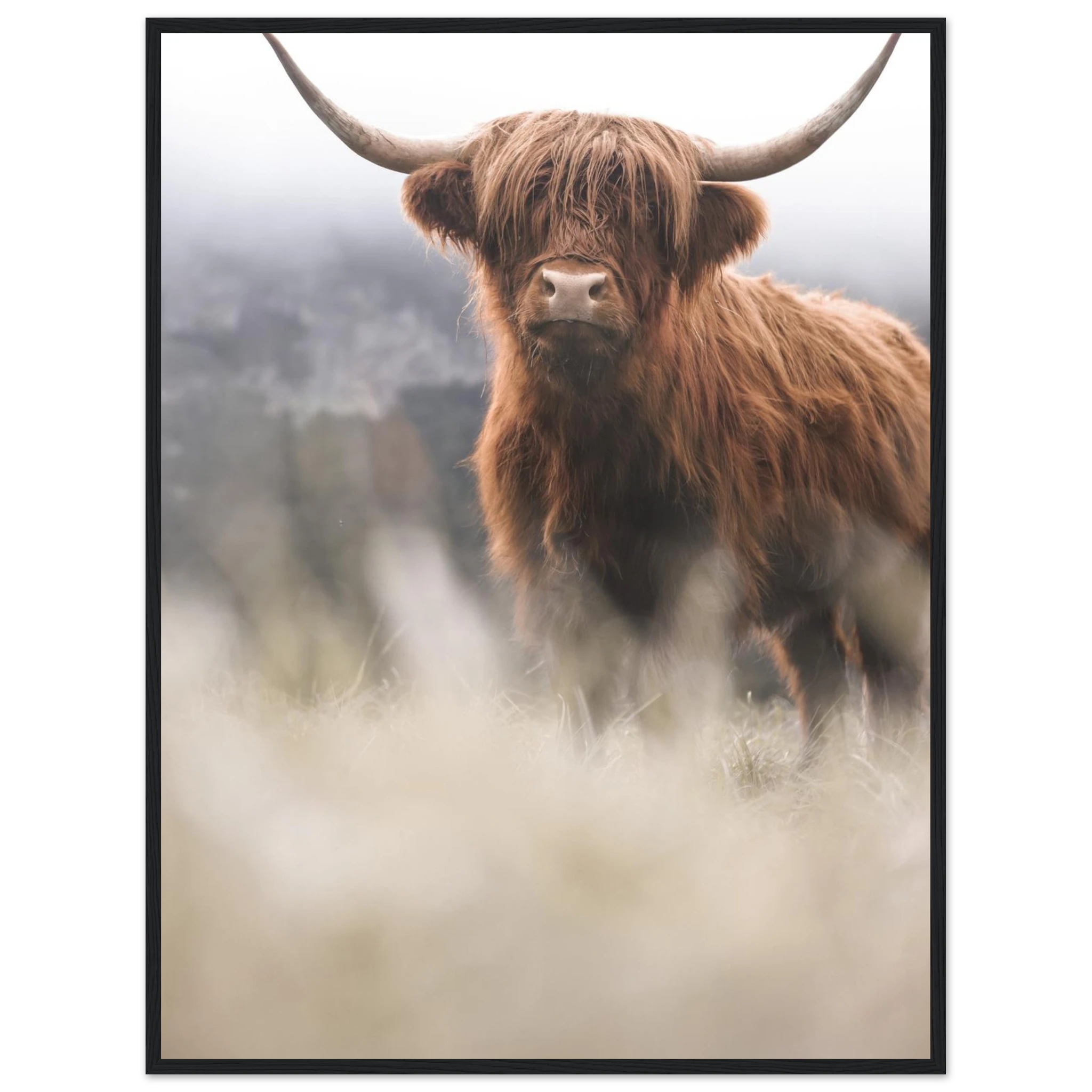 921e85ec-d2e2-459d-a8dd-4b6424a5a020