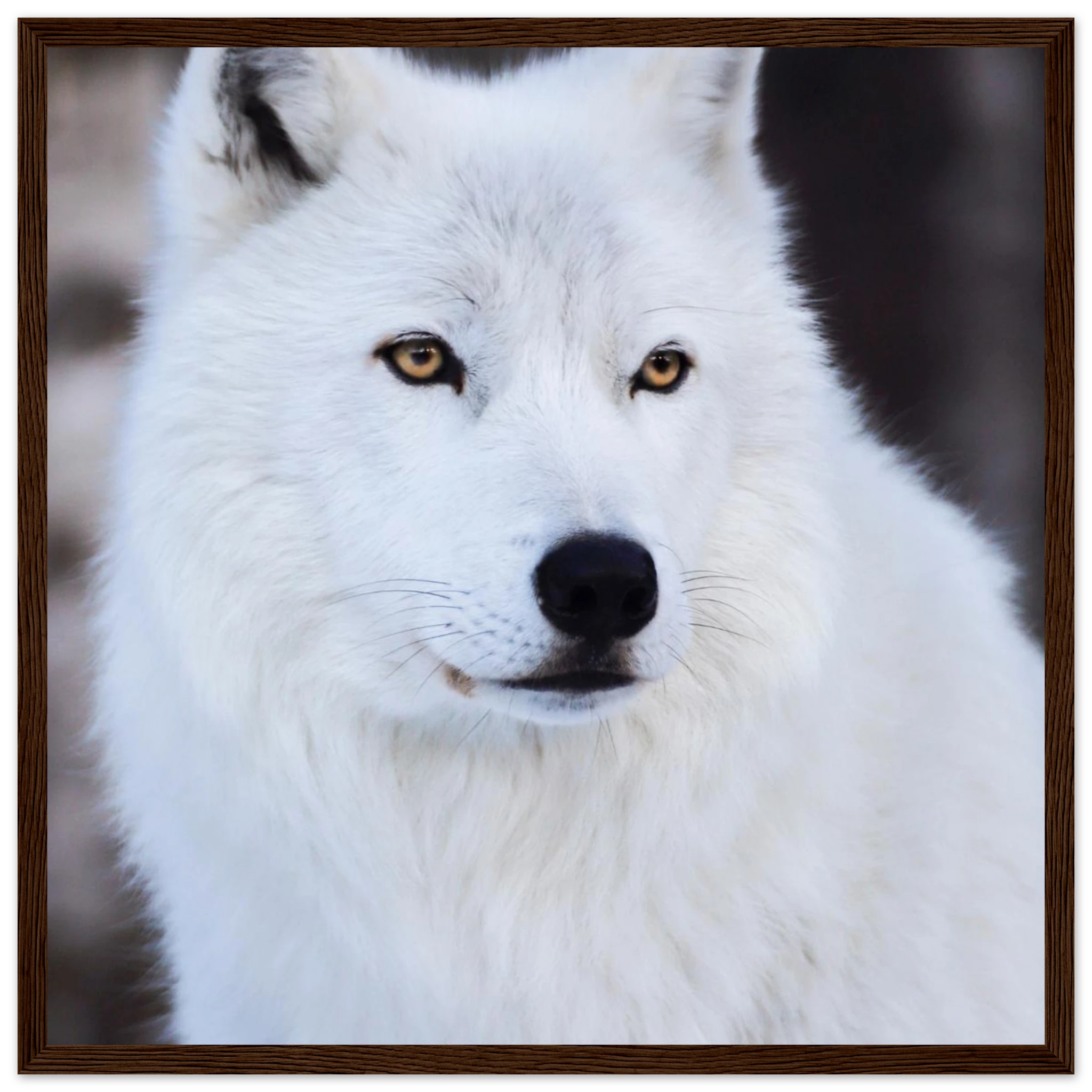 92214ffd-1c53-4d17-bbc9-e8ce9e637910