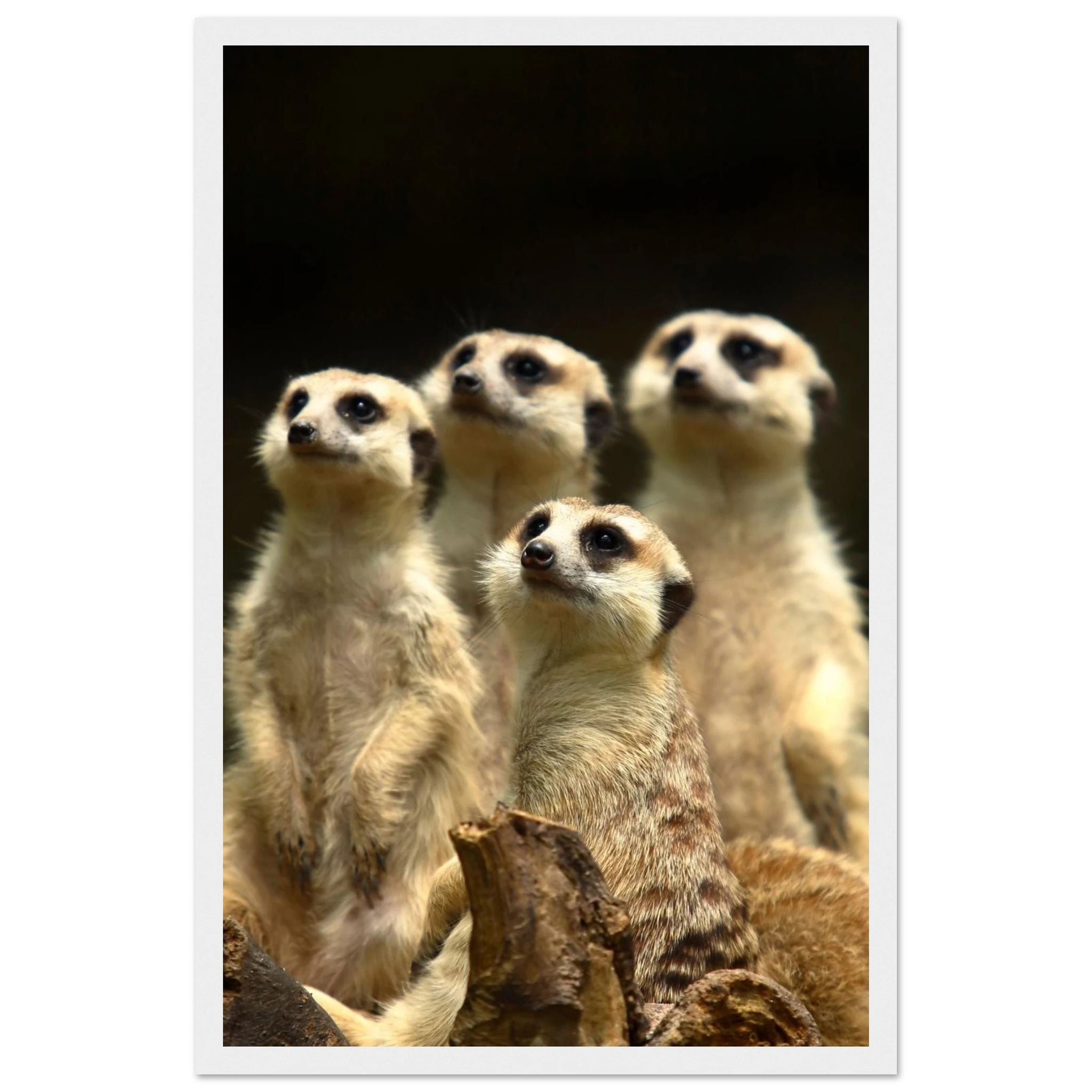 9275bb30-d9b1-45c1-98bf-2d71eb423dc9