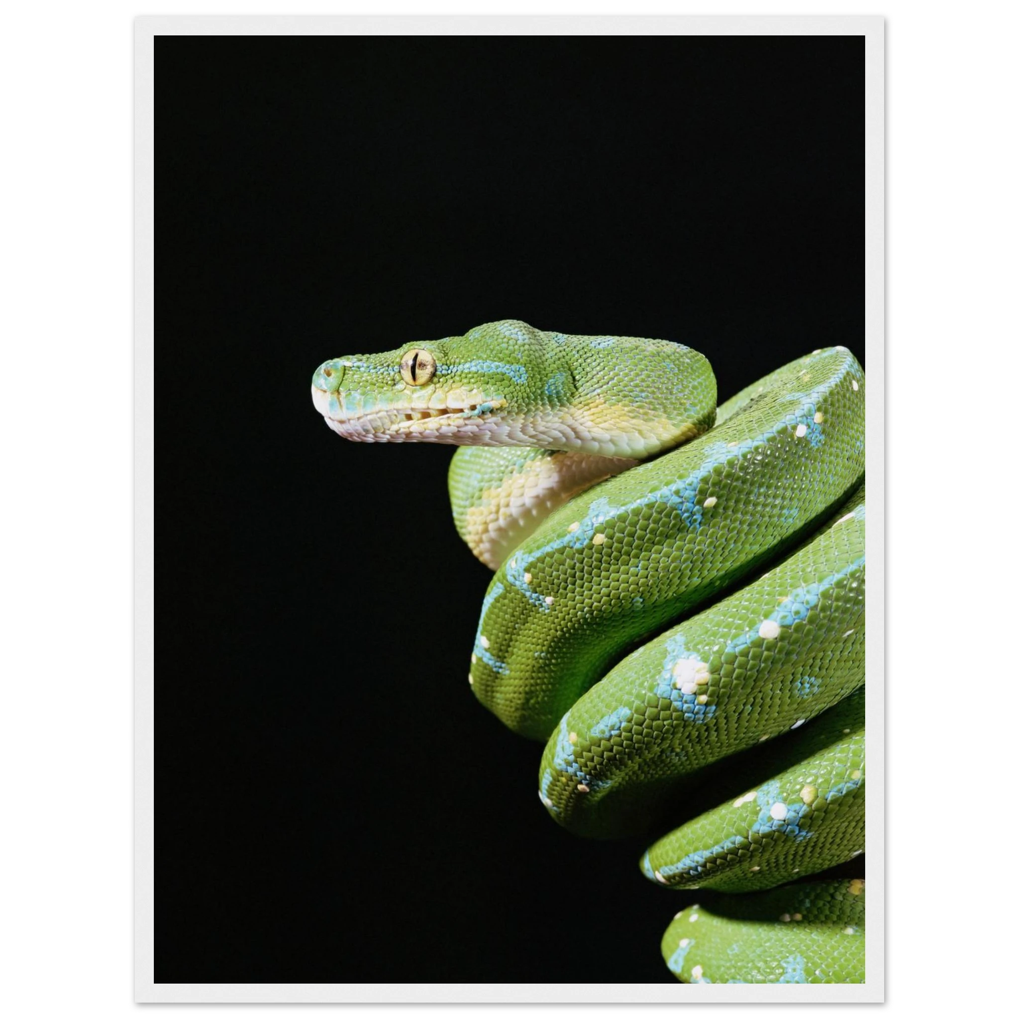 92e152f0-9f00-4876-a23a-002b6e06c747