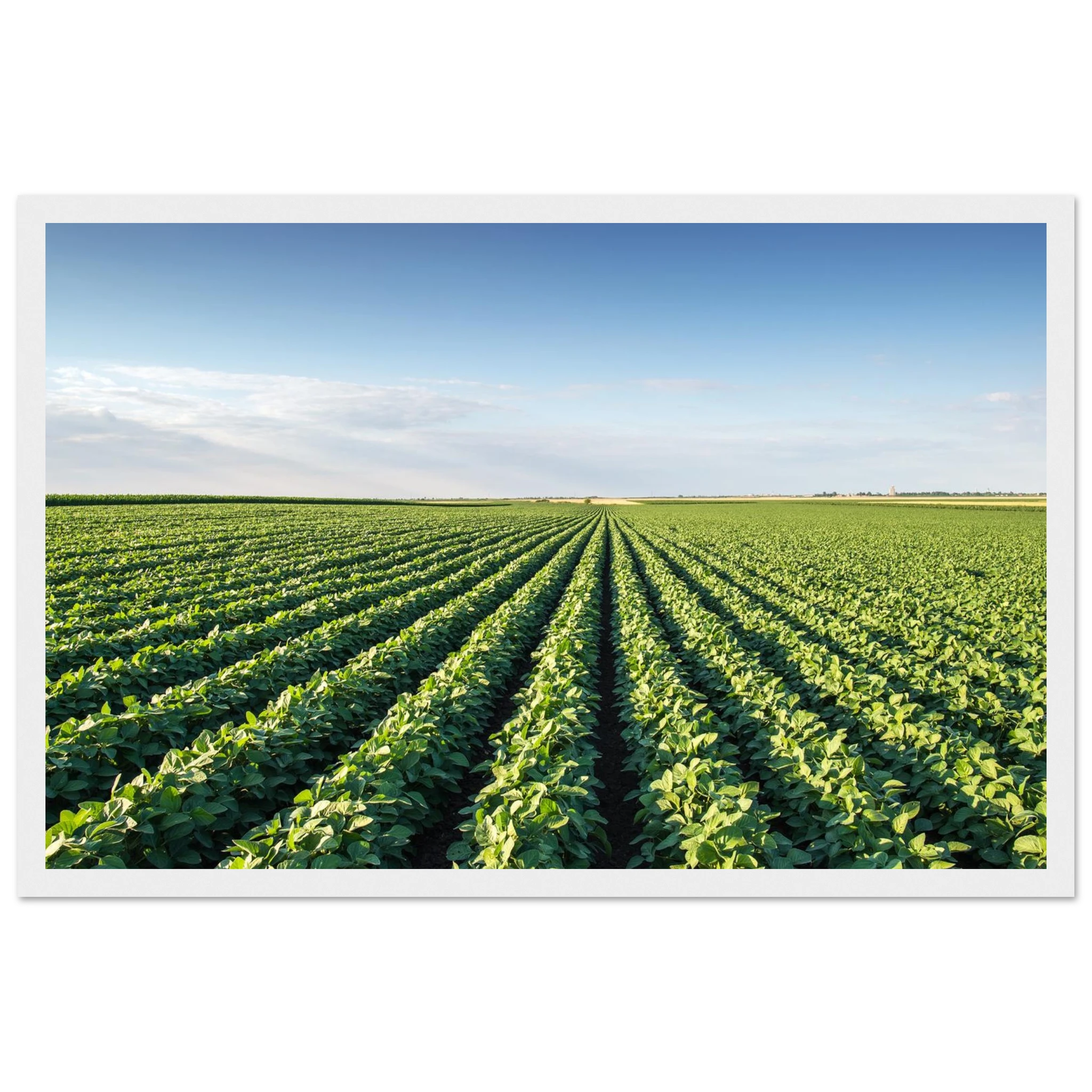 931f05a1-71a4-49ac-b2b2-63ec097e2ff3