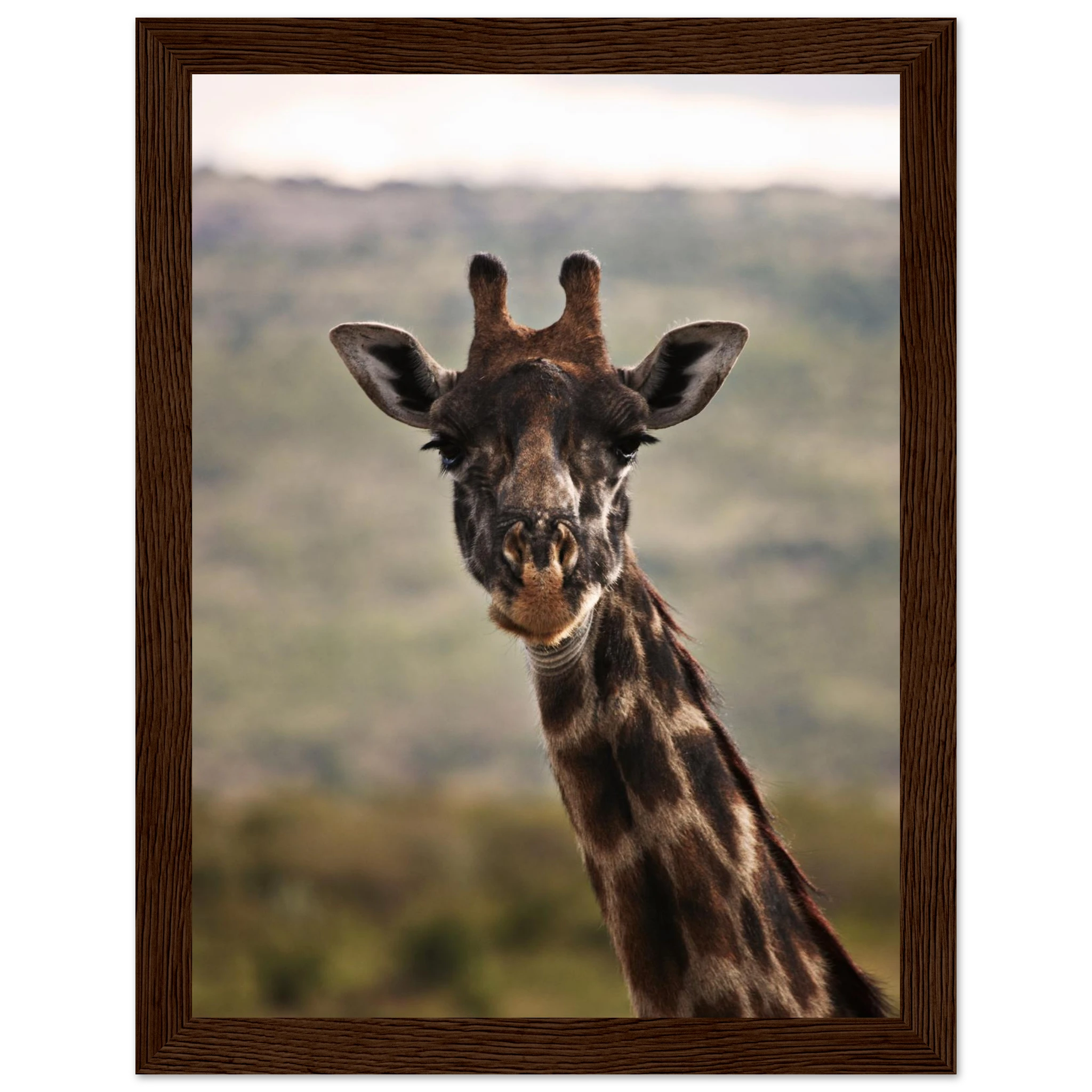 932d8a9b-f03c-4885-9a1e-bacd19f07dbb