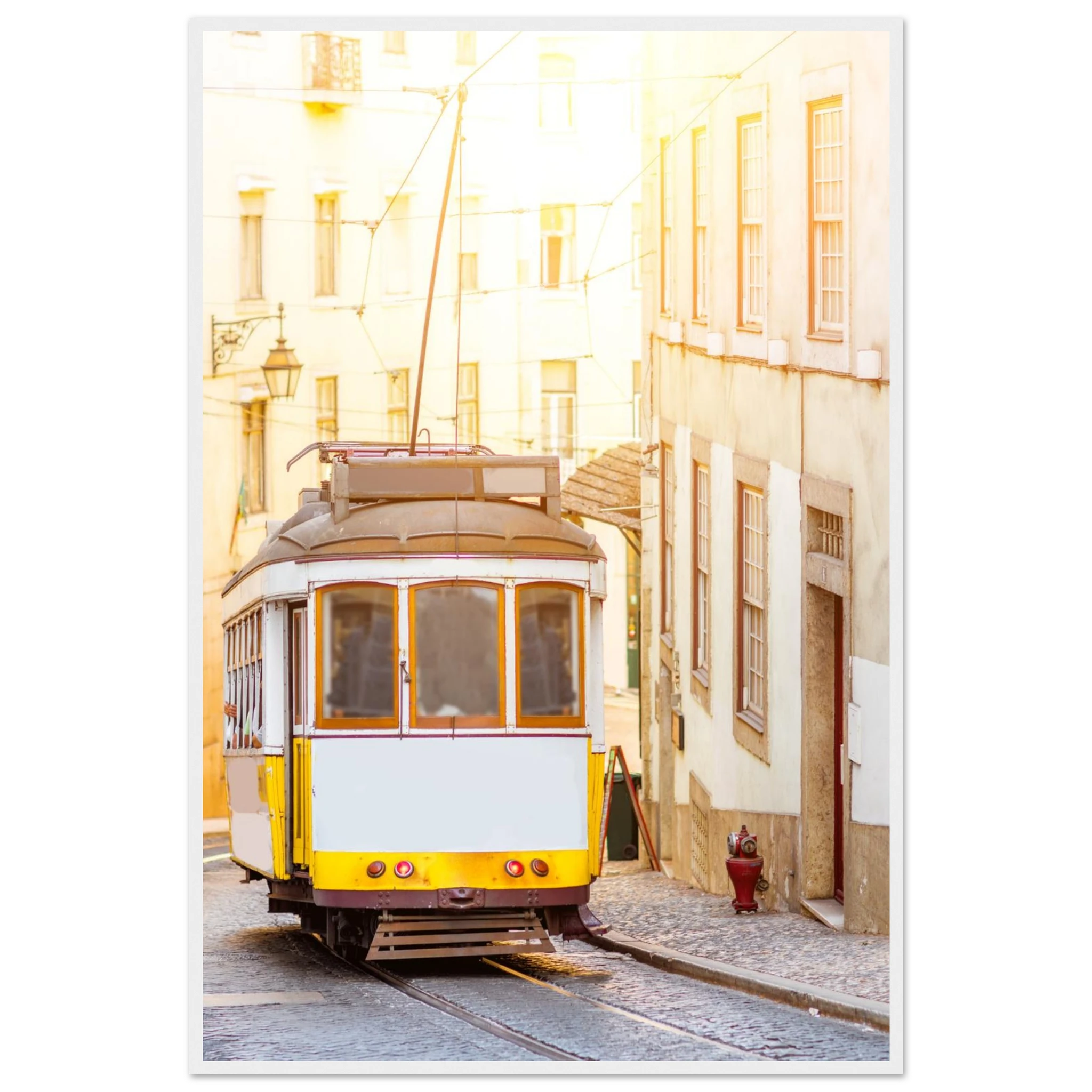 93652e19-2342-4b00-beed-2f754d1c1d0d