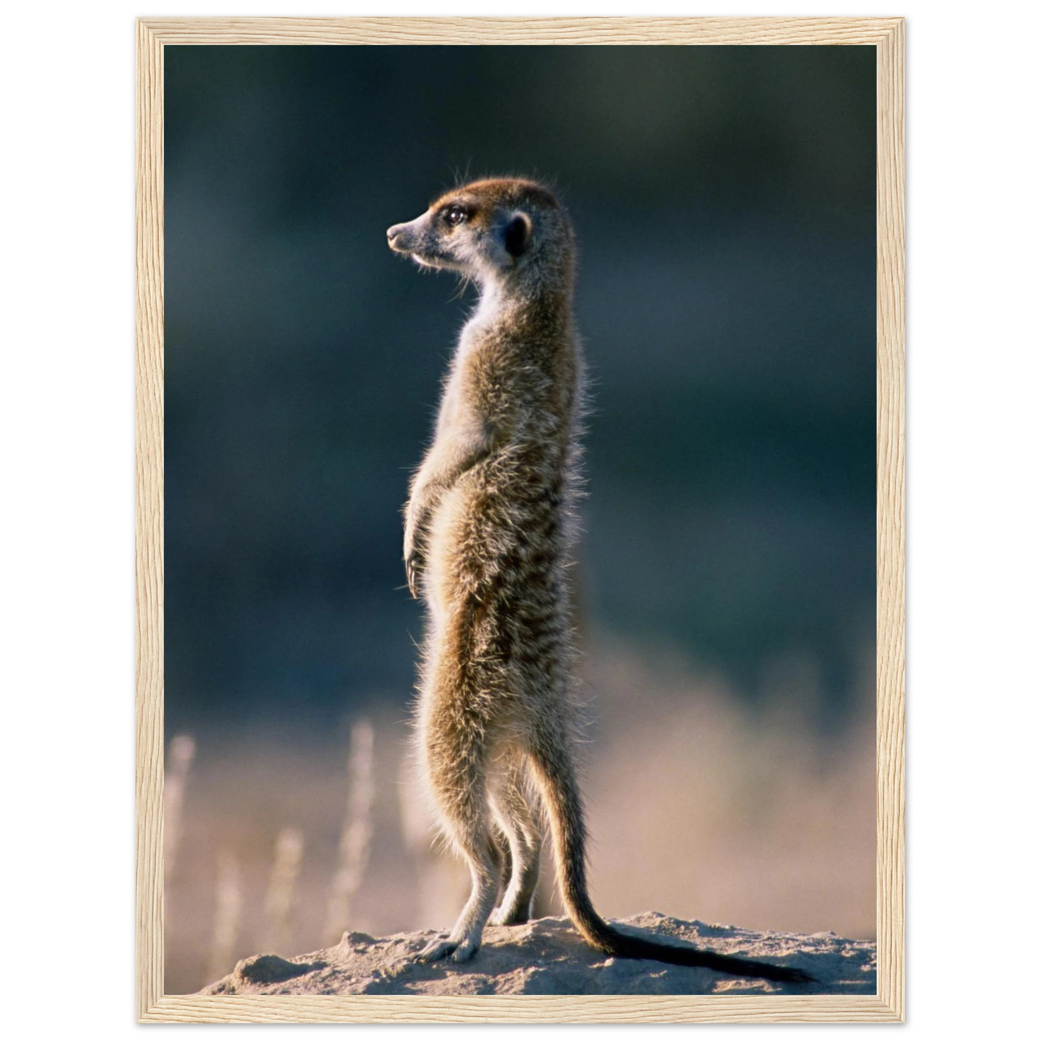 937bb095-c6e9-4c39-9750-a5ccd8d3a269