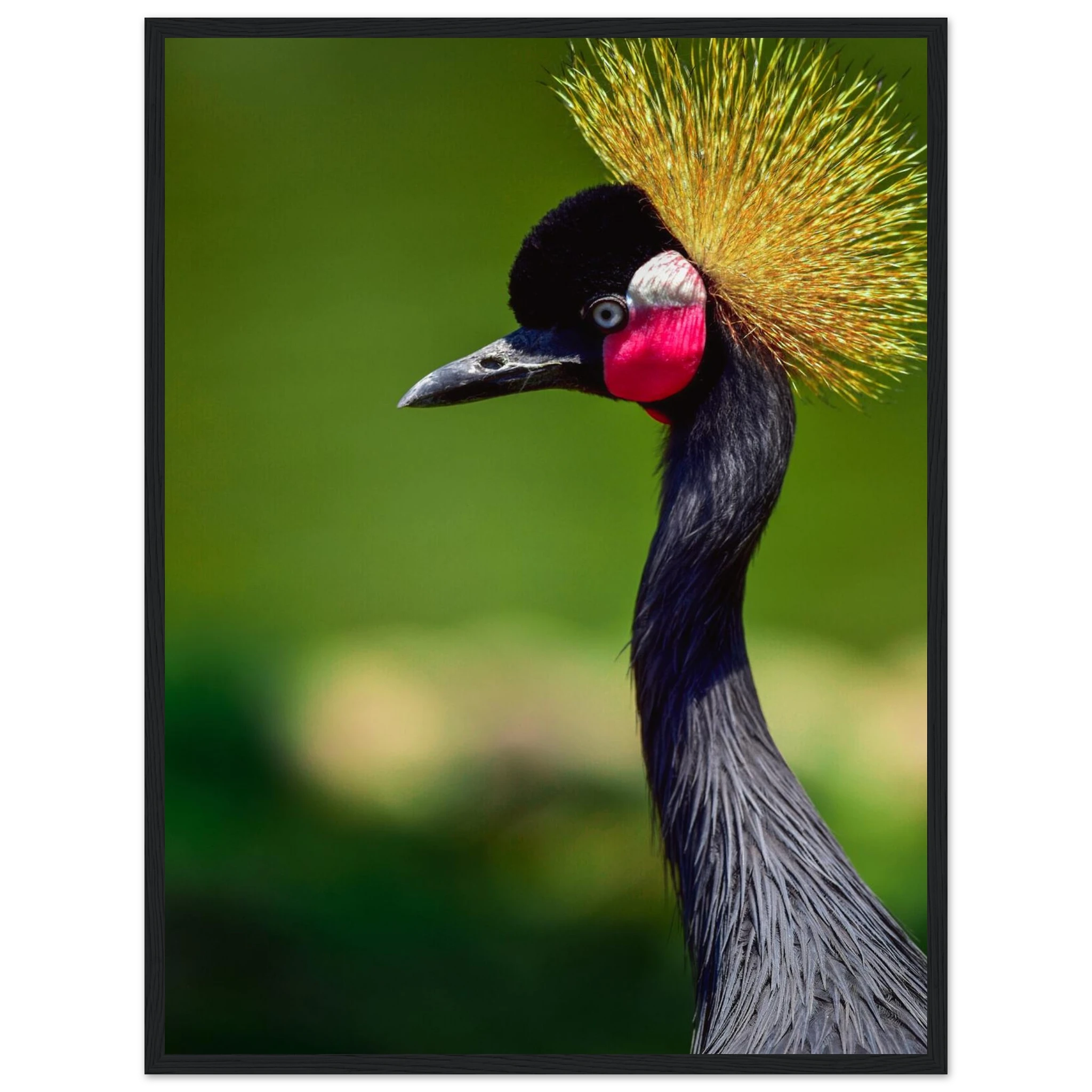 939944d9-4180-41a4-b17d-0d888c702bda