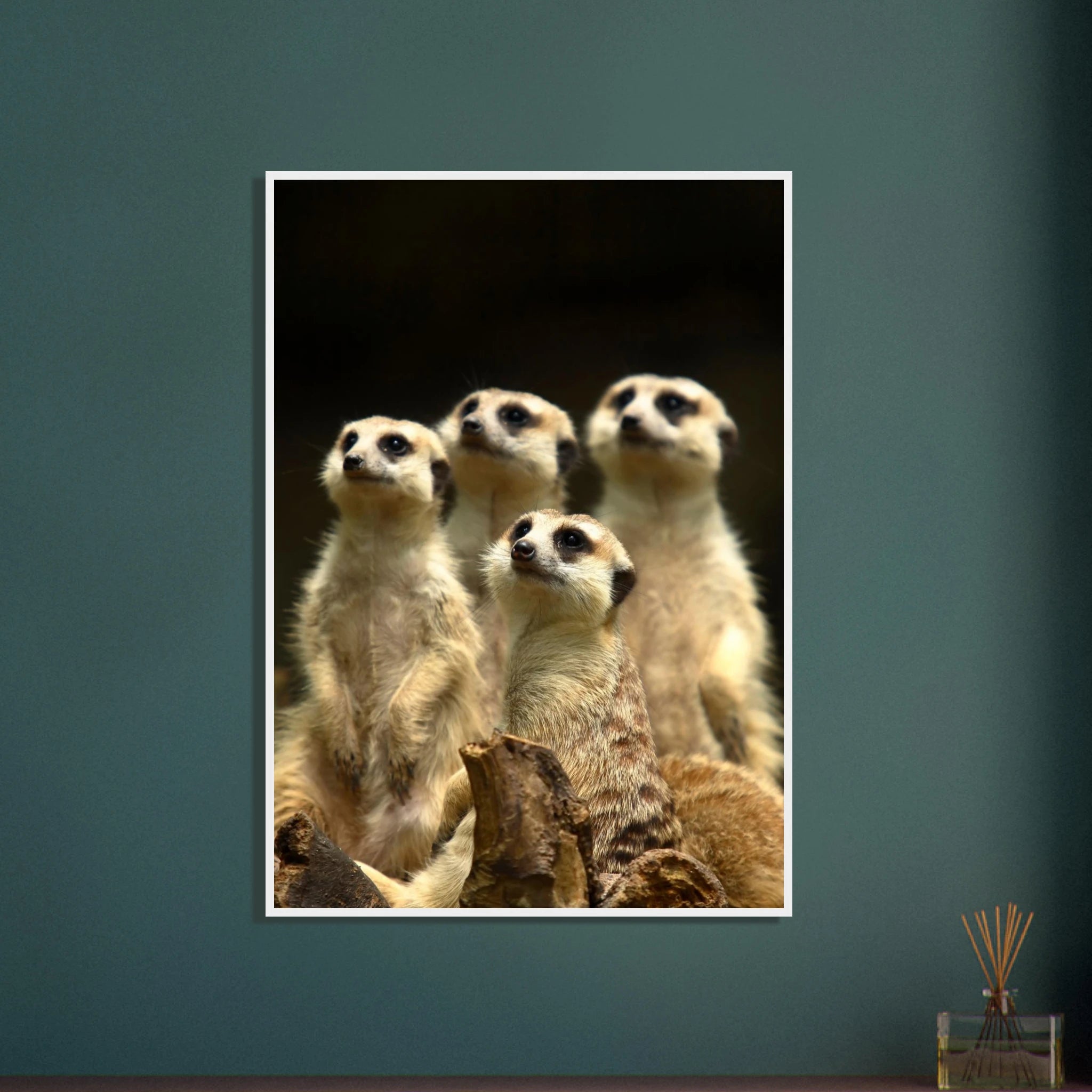 93c9cdc6-cf3c-4eb3-96be-34fca9032f5b