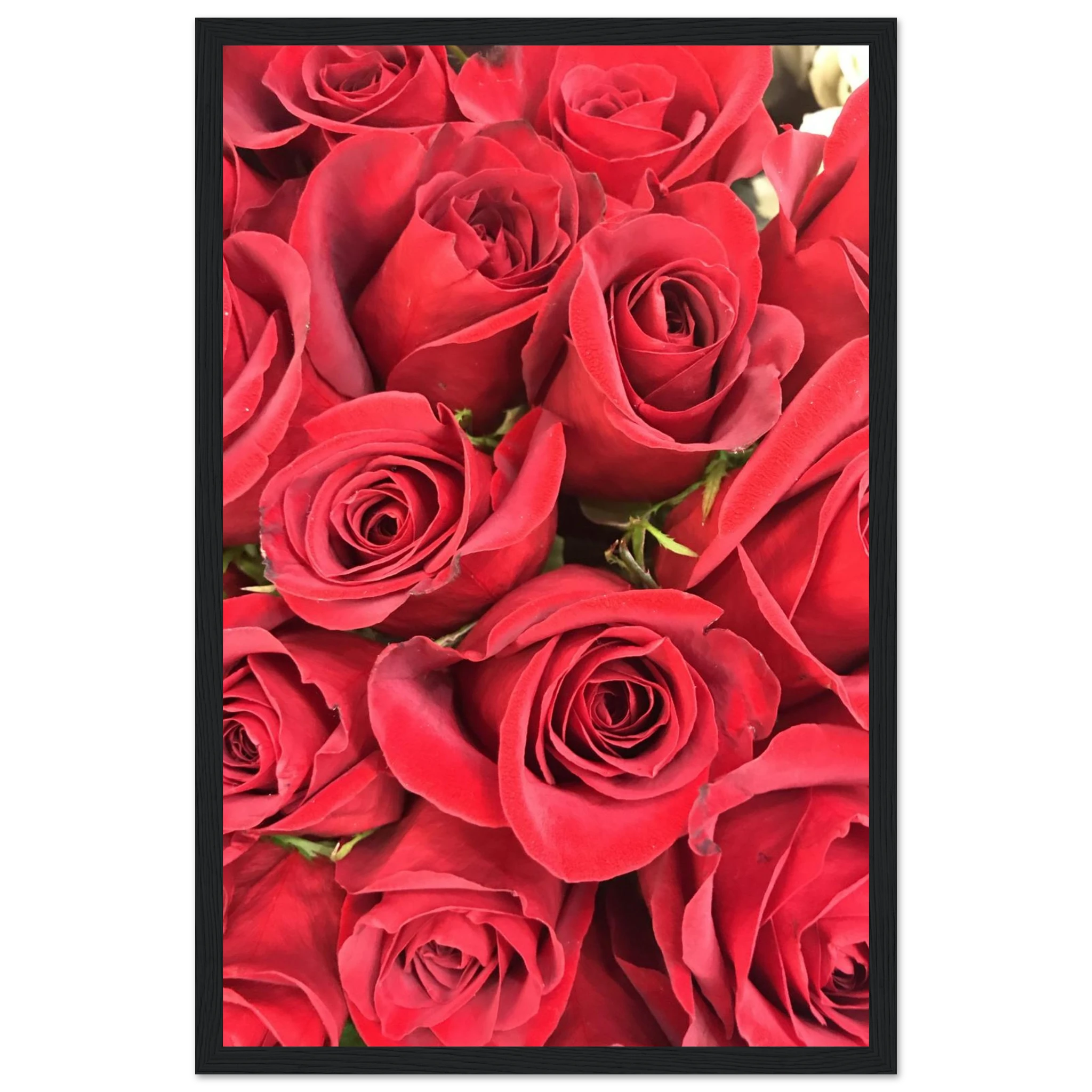 93cd585a-7c8d-4184-bf8d-6499d6216e18